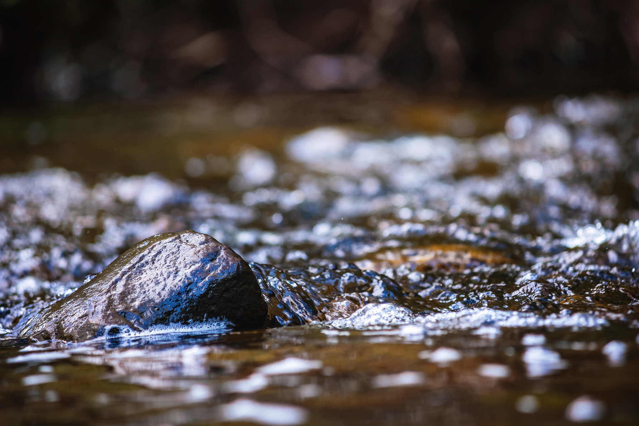 Nature... - My, Forest, Hike, Spring, River, Flowers, Grass, The photo, Nature, Longpost, Video, Youtube