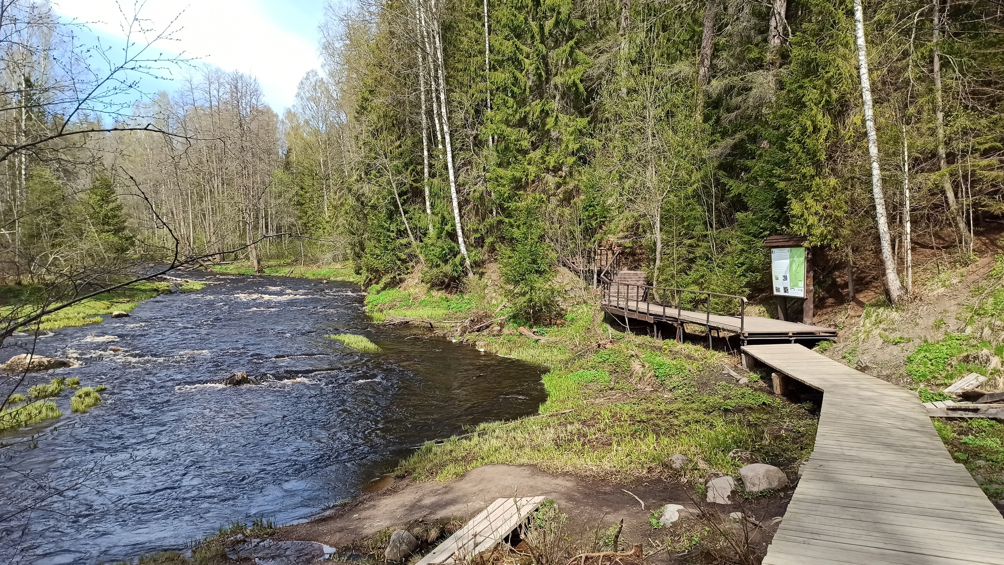 Hiking story #1: Eco route Larch Grove - My, Lindulovskaya grove, Tourism, Hiking, Tracking, Nature, Leningrad region, Pa, Longpost