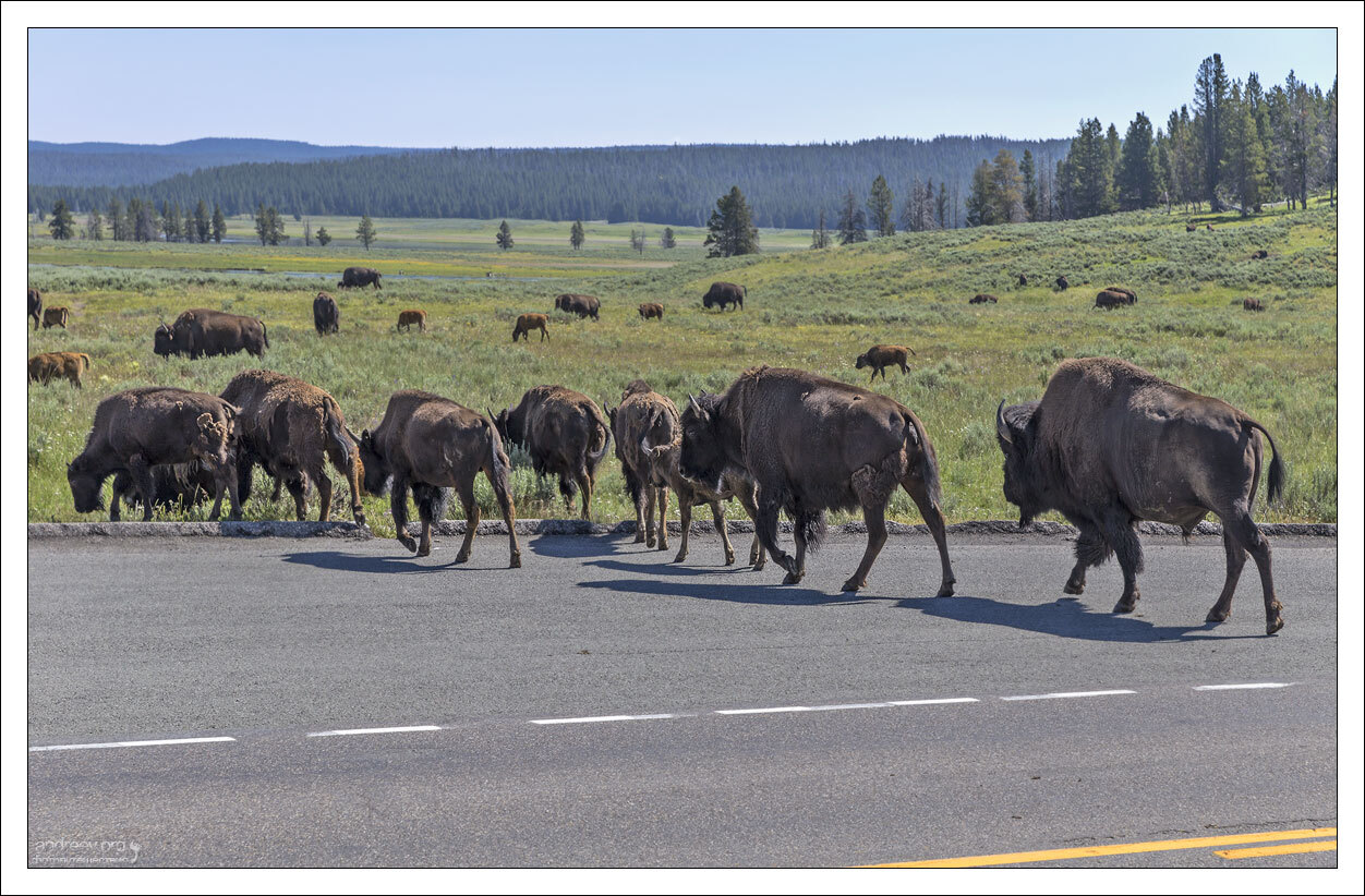 Hot 10 Yellowstone (P.1) - My, USA, Wyoming, Yellowstone, Yellowstone Park, Geyser, Water, Long, The photo, Video, Youtube, Longpost