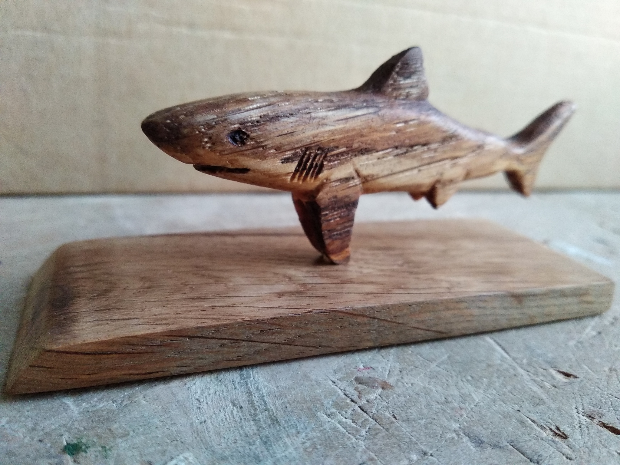 oak shark - My, Needlework without process, Wood carving, Hobby, Shark, Longpost