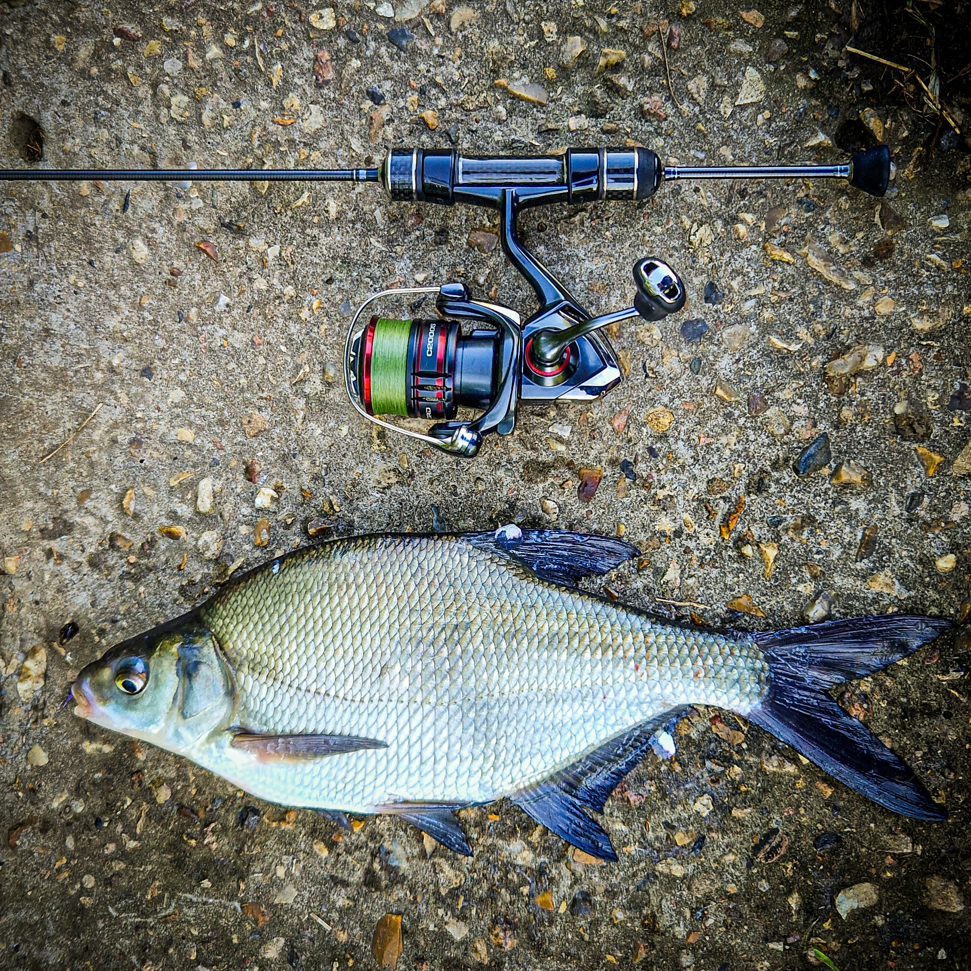 How to catch a bream on spinning. - My, Fishing, A fish, Mormyshka, Bream, Roach, Microjig, Spinning, Video, Youtube, Longpost, Video blog