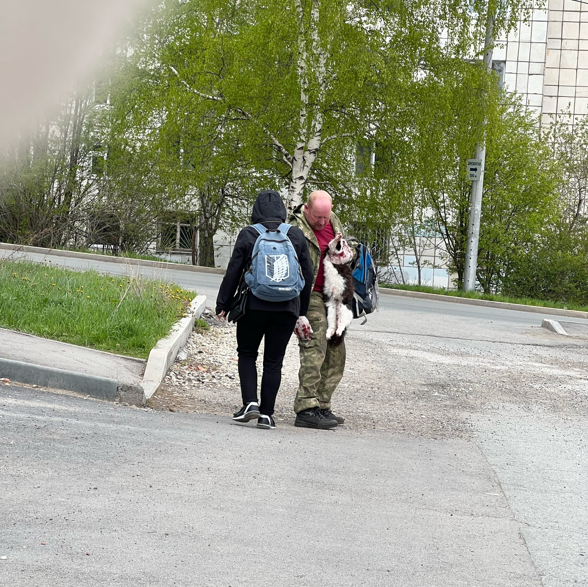 В Перми заметили живодера - Пермь, Животные, Живодерство, Негатив, Жестокость с животными