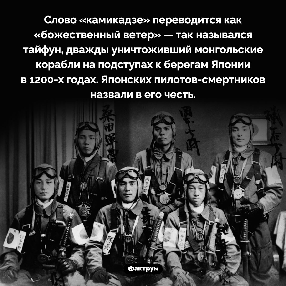 Подборка интересных фактов № 70 - Подборка, Факты, Познавательно, Картинка с текстом, Фактрум, Длиннопост