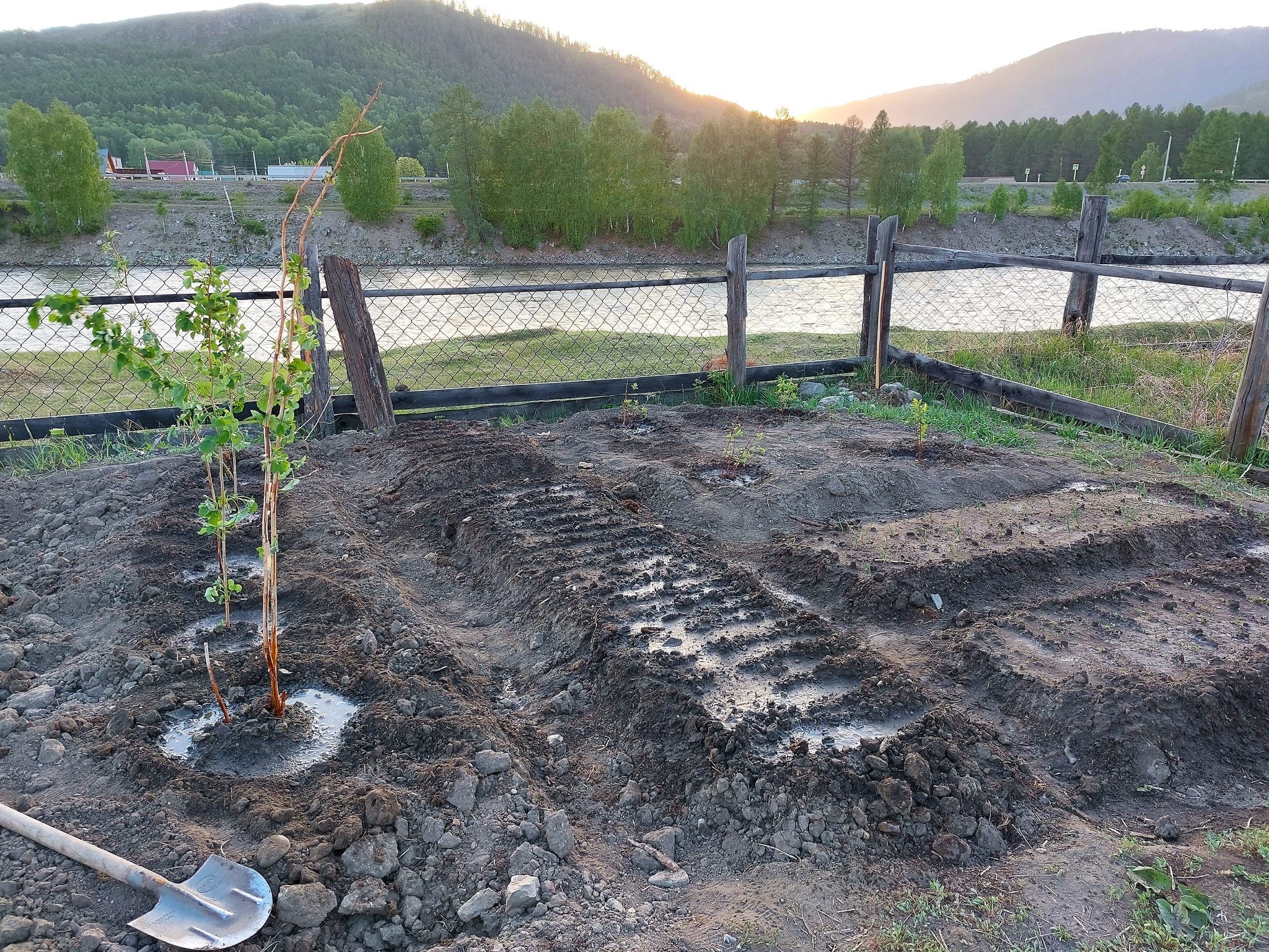 Is it old age? - My, Garden, The mountains, River, Altai Republic