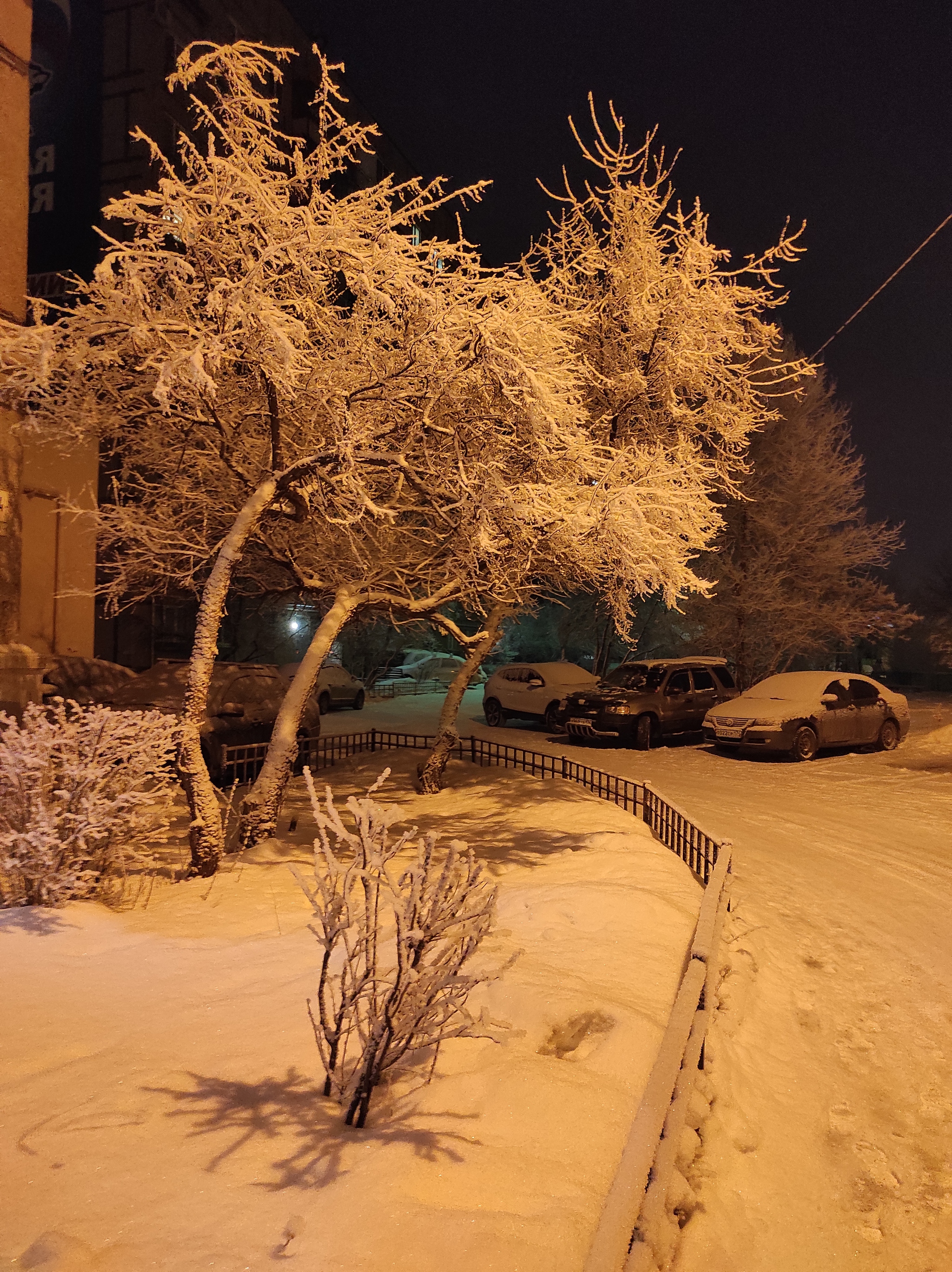 I want to go back to the frosty winter, dive into the snowdrifts with dogs and watch their forelocks become covered with frost, but that's not all - My, Winter, The photo, Mobile photography, Dog, Cold, Snow, Ural, Southern Urals, Longpost