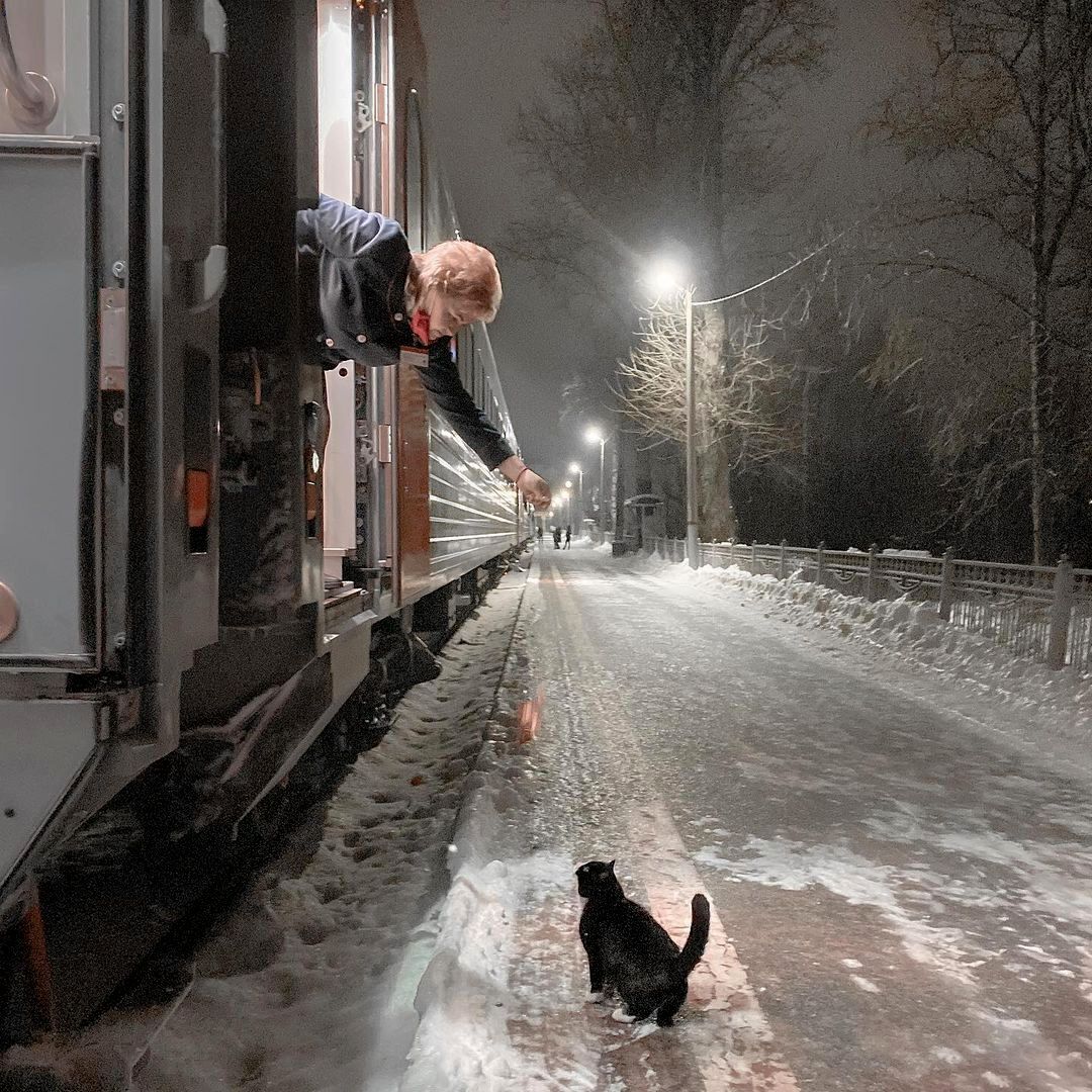 Stop station - A train, Stop, Conductor, cat, Communication, Winter