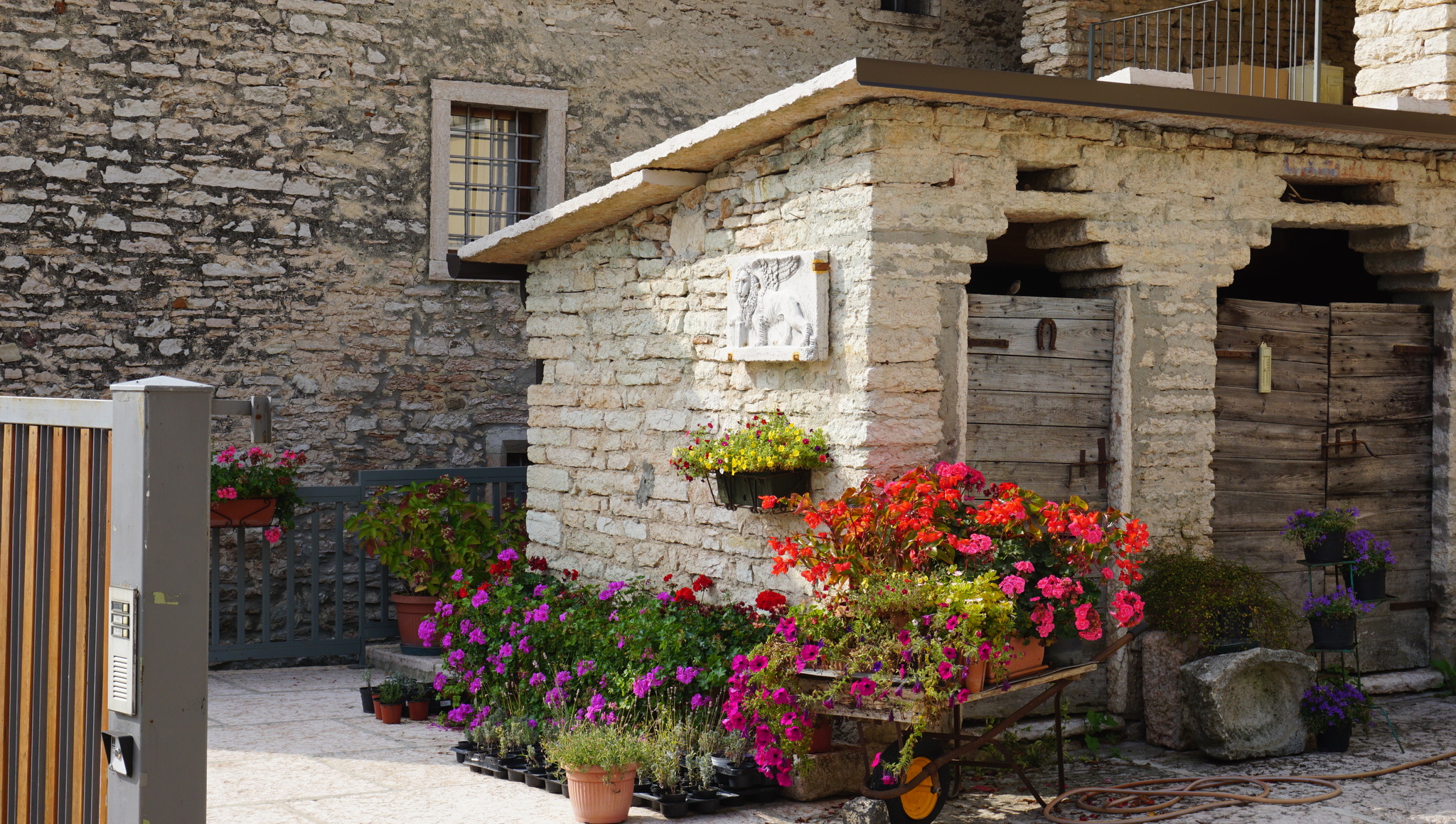 Around Lake Garda in one post - My, Vacation, Italy, Lake Garda, The photo, The rocks, Road, Hornet, Flowers, Statuette, Clouds, Longpost