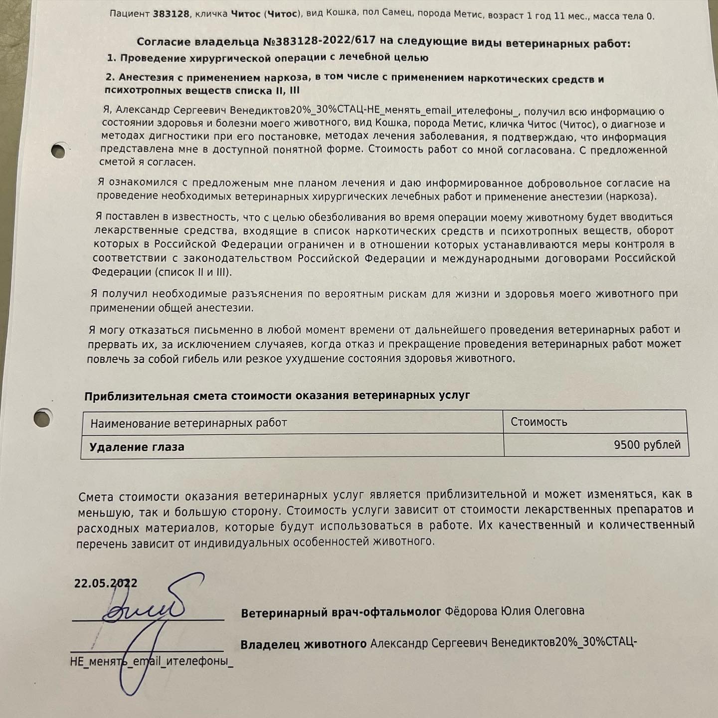 Как мы спасали раненого кота Читоса и не все люди одинаково безответственны - Спасение животных, Помощь животным, Бездомные животные, Нашел дом, Ветеринария, Помощь, Потеряшка, Спасение, Доброта, Добрые дела, Добрые люди, Кот, Рыжие, Котята, Пушистые, Домашние животные, Волонтерство, Животные, Видео, Видео вк, Длиннопост