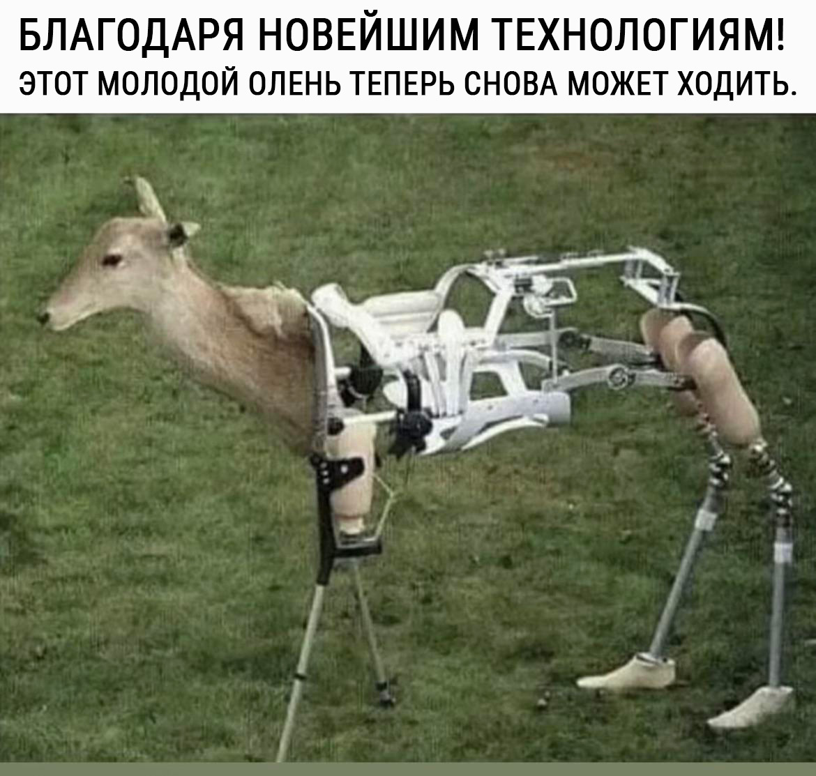 How much progress has been made - Humor, Strange humor, Picture with text, Translation, Technologies, Prosthesis, Prosthetics