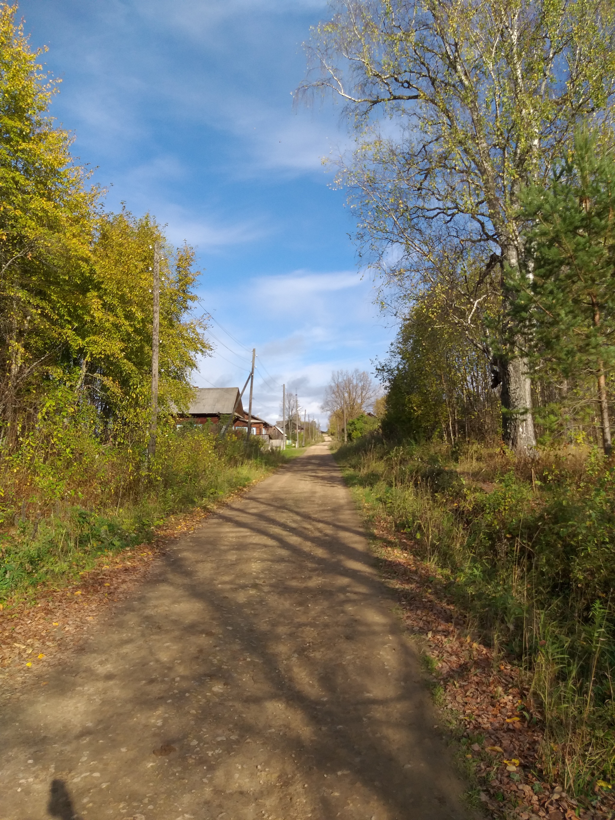 The road will be mastered by the walking - My, Сельское хозяйство, Road, Project, Village, Longpost