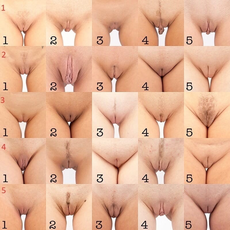 What is your choice(s)? Or which one do you have? - NSFW, Pubis, Labia, Bottom view, Vagina