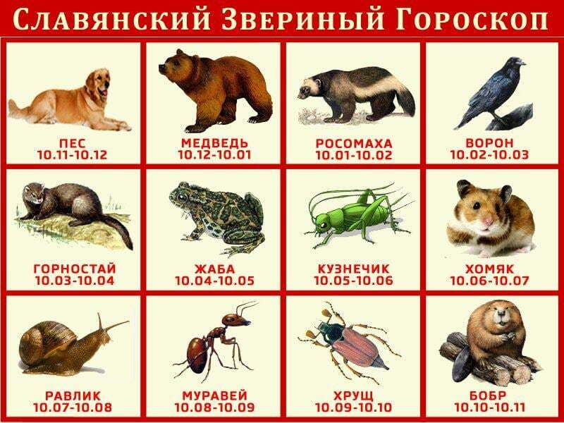 Slavic horoscope - Horoscope, Animals, Slavs