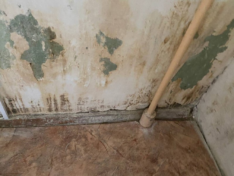 mold in panel - My, Apartment, Mold, Repair, Management Company, Panel house, Longpost