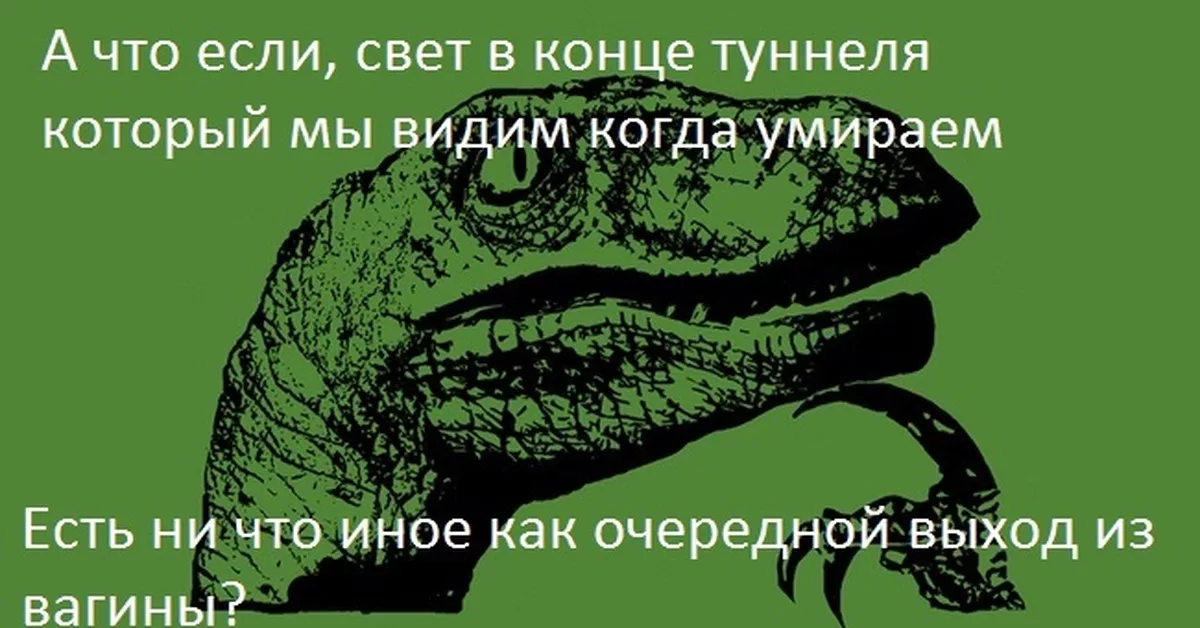 Реинкарнация | Пикабу