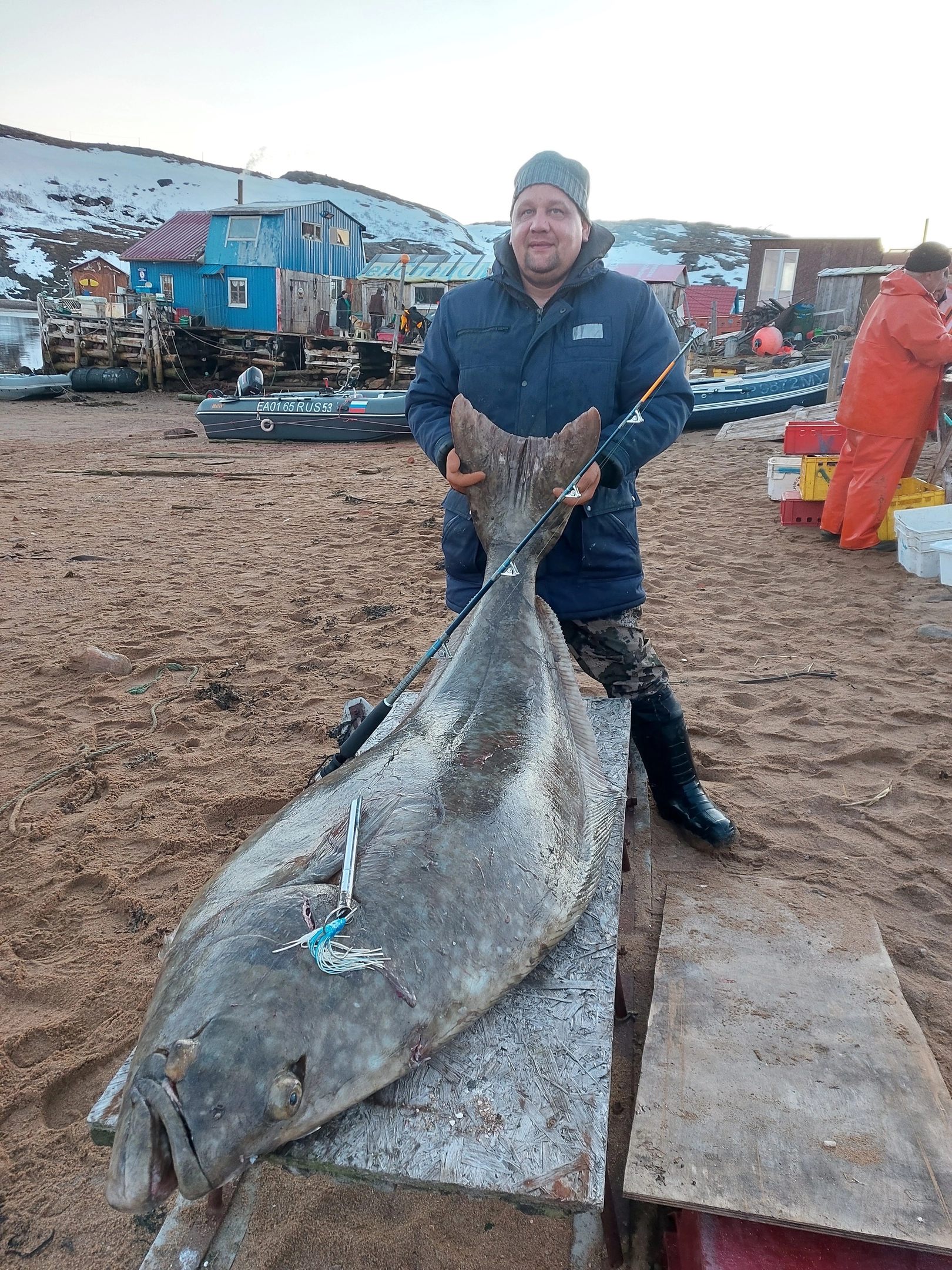 Halibut, Teriberka, May 2022 - Fishing, The photo, Kola Peninsula, Teriberka, Halibut, Murmansk region