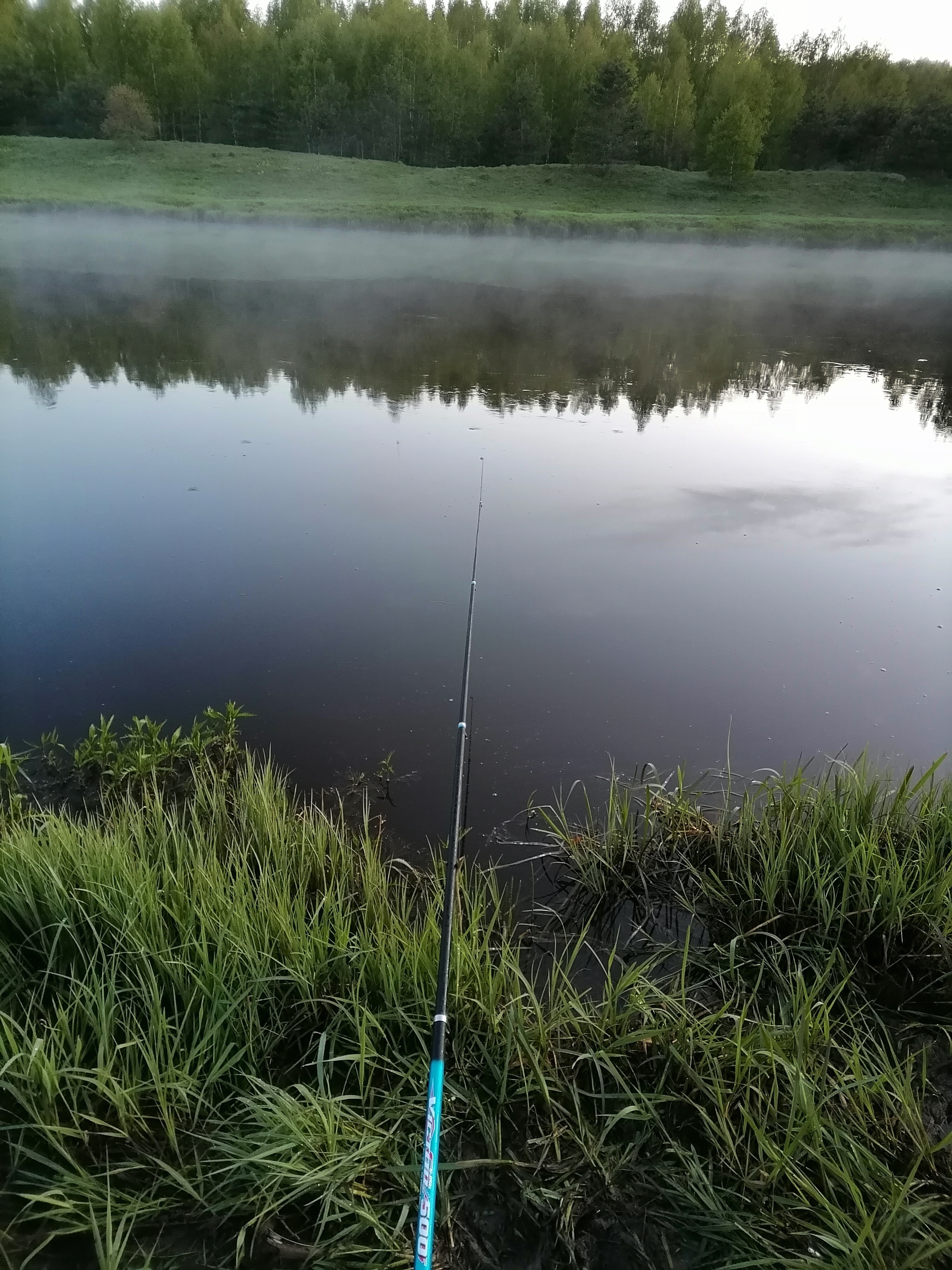 She got divorced and fell in love with fishing. - My, beauty of nature, Nature, Broken heart, Longpost