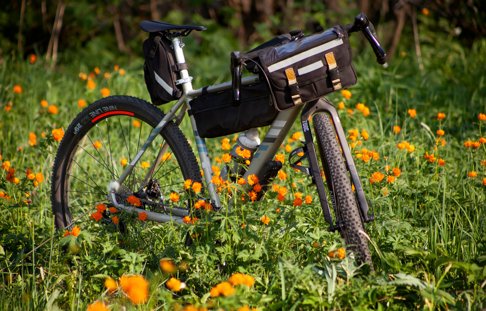 Gravelu - gravelovo - My, Flowers, A bike, Pokatushki, Kemerovo region - Kuzbass, Bathing suit, Butterfly, Canon 5DM2, Longpost