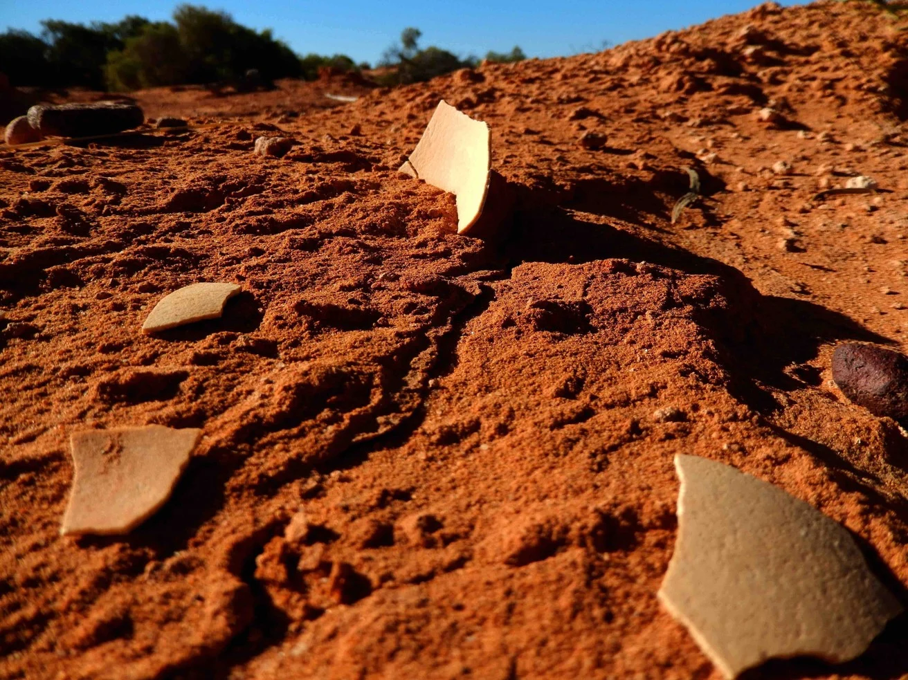 Ancient Australian scrambled eggs - Birds, Extinct species, Australia, Huge, Eggs, Archeology, Pleistocene, Scientists, University, Cambridge, Great Britain, Turin, Italy, Ancient artifacts, Aborigines, Eggshell, Archaeologists, Archaeological finds, Prehistoric animals, Around the world, Longpost