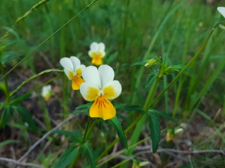 Открытие сезона | Пикабу