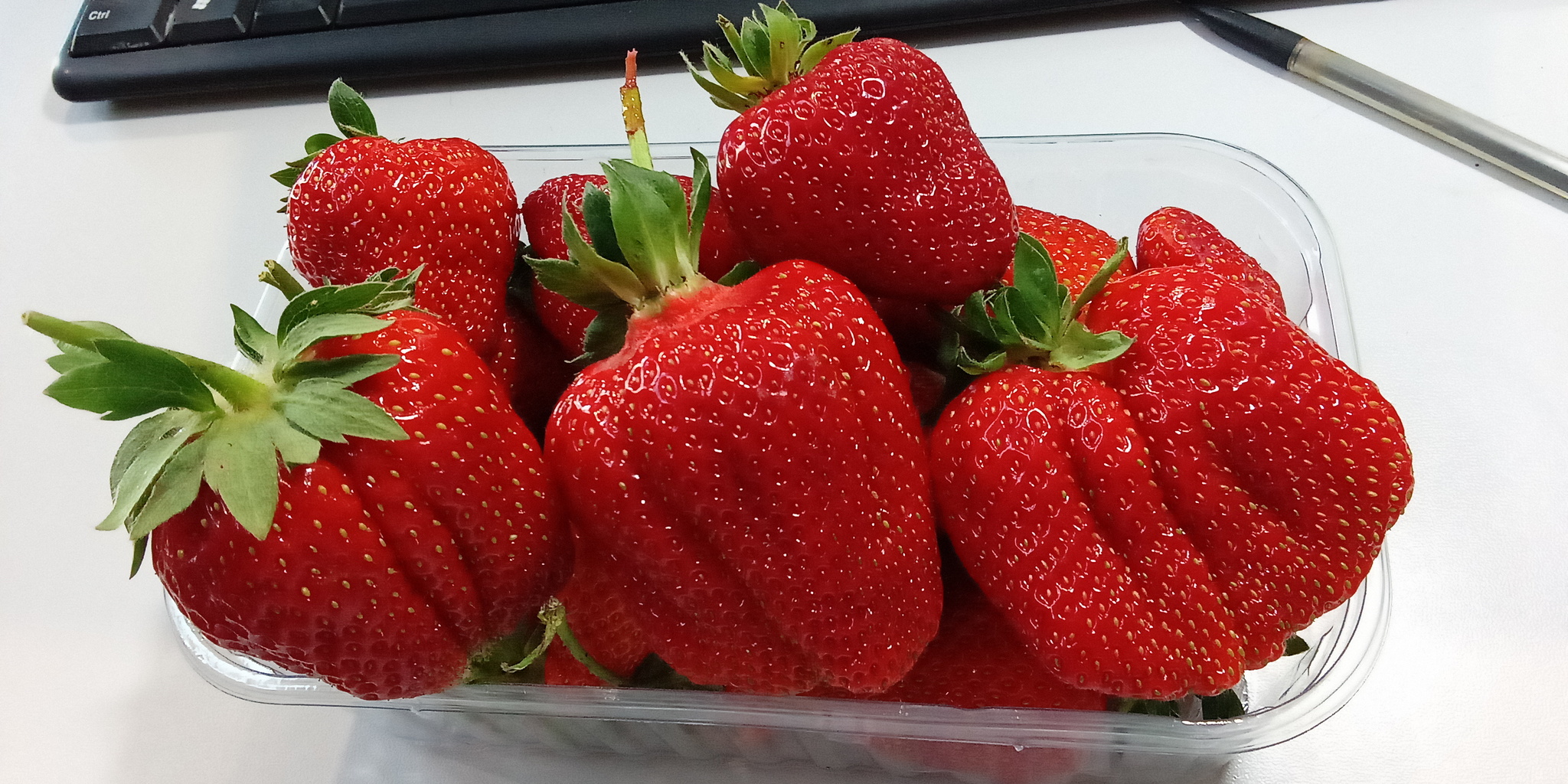 strawberry mood - My, Gulkevichi, Strawberry (plant), Longpost