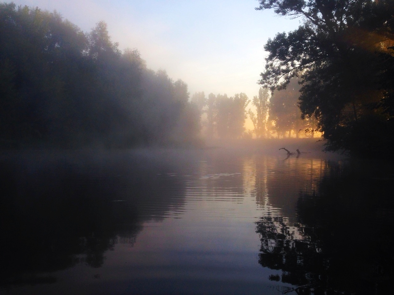 Dawn on the lake - My, Mobile photography, Photo on sneaker, Lake, beauty of nature, dawn