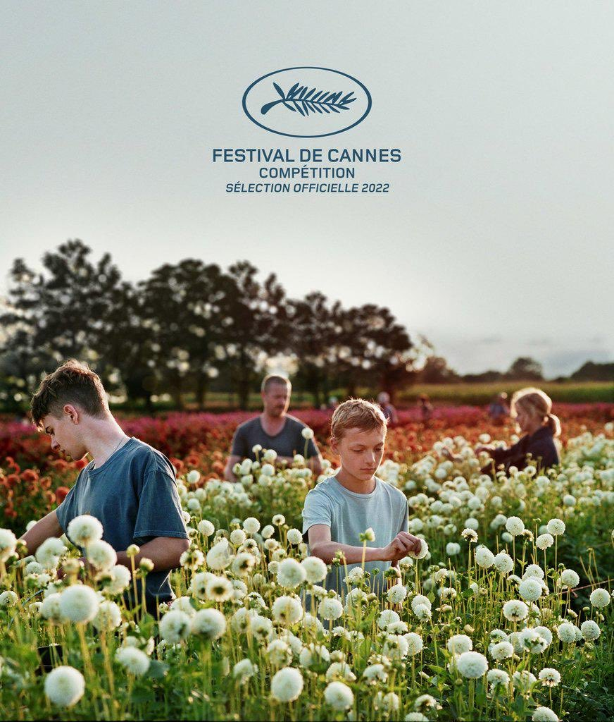 Cannes 2022: results - Movies, Drama, Cannes, The festival, Film Festival, Cannes festival, France, Kirill Serebrennikov, Reward, A selection, Donkey, Detective, New films, Longpost