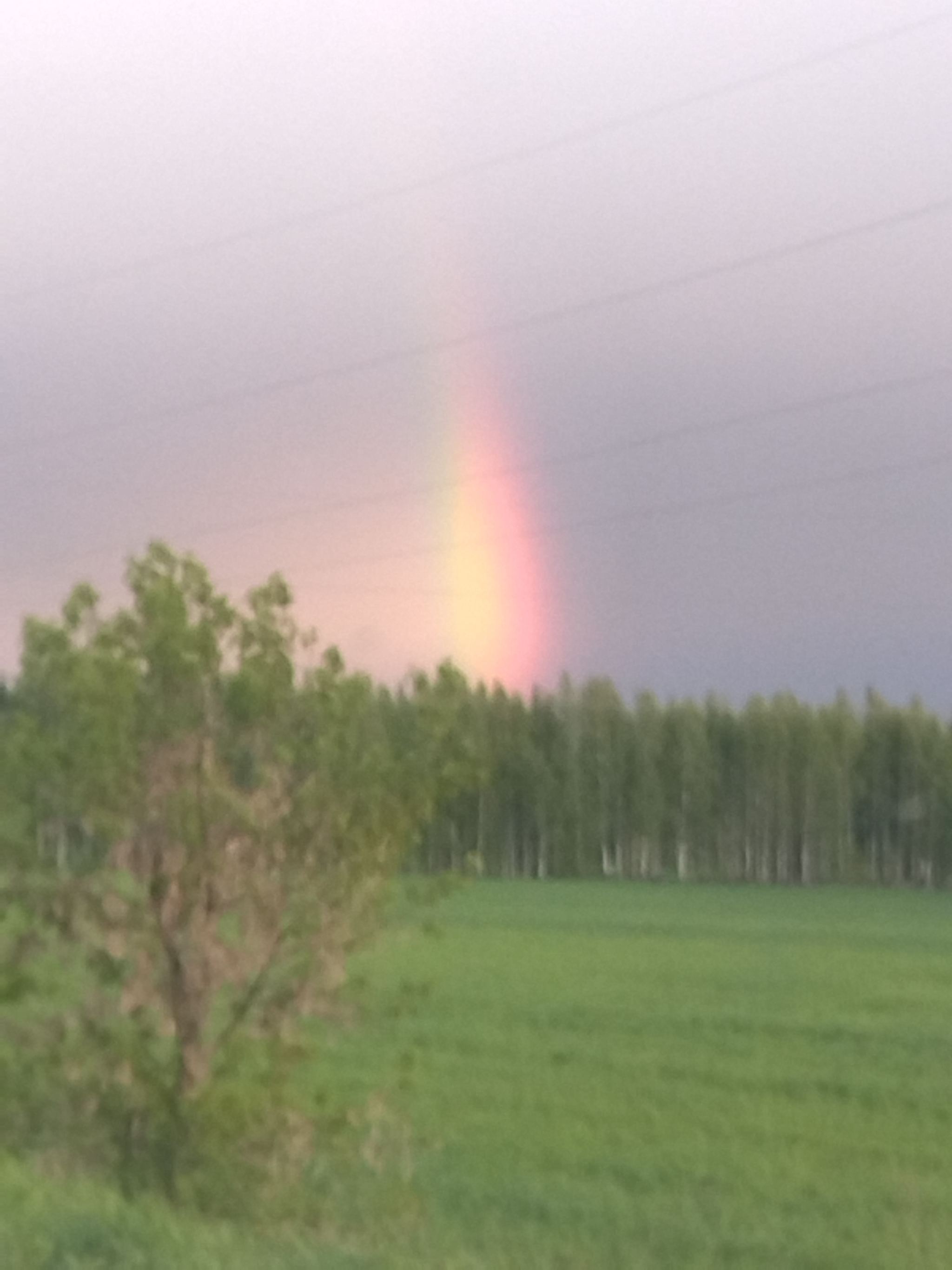 Просто радуга - Моё, Радуга, Фото на тапок, Красота природы, Длиннопост