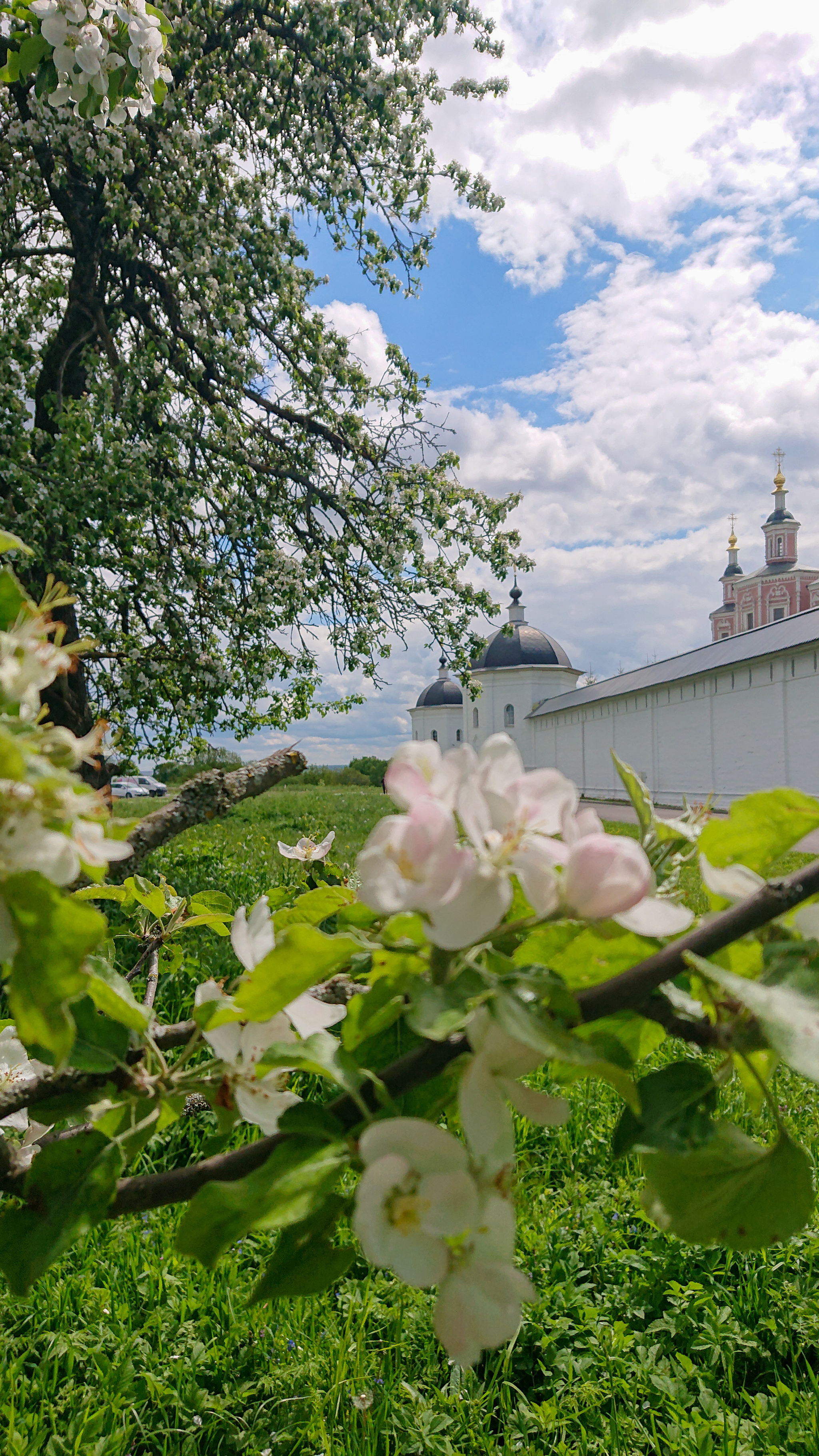 Дальние дали - Моё, Весна, Монастырь, Даль, Природа, Длиннопост, Фотография