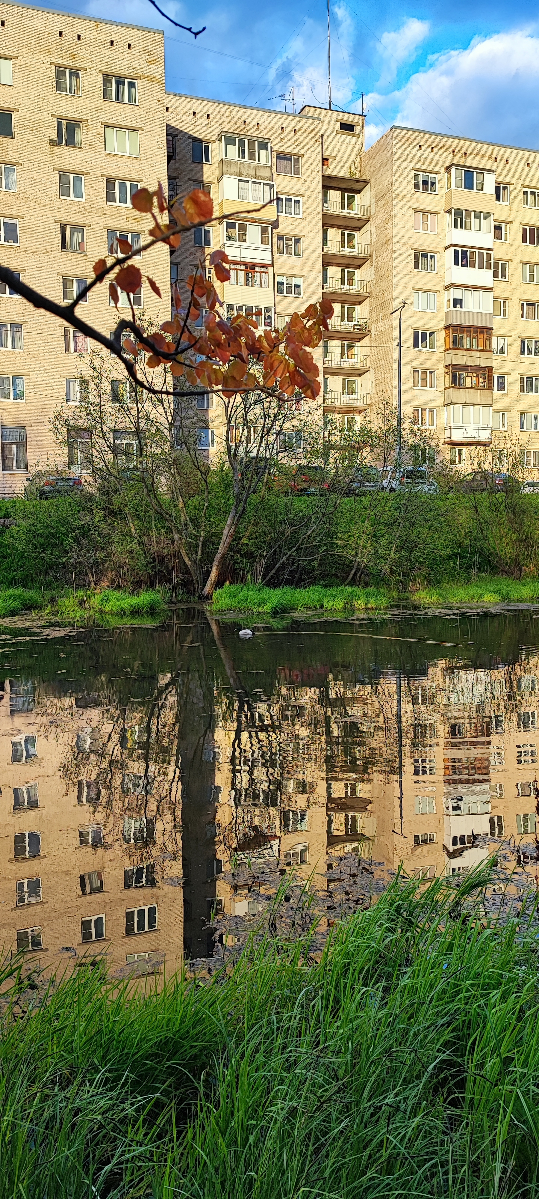 Evening walk around the outskirts of St. Petersburg - My, Mobile photography, Nature, Walk, Longpost, River, Evening