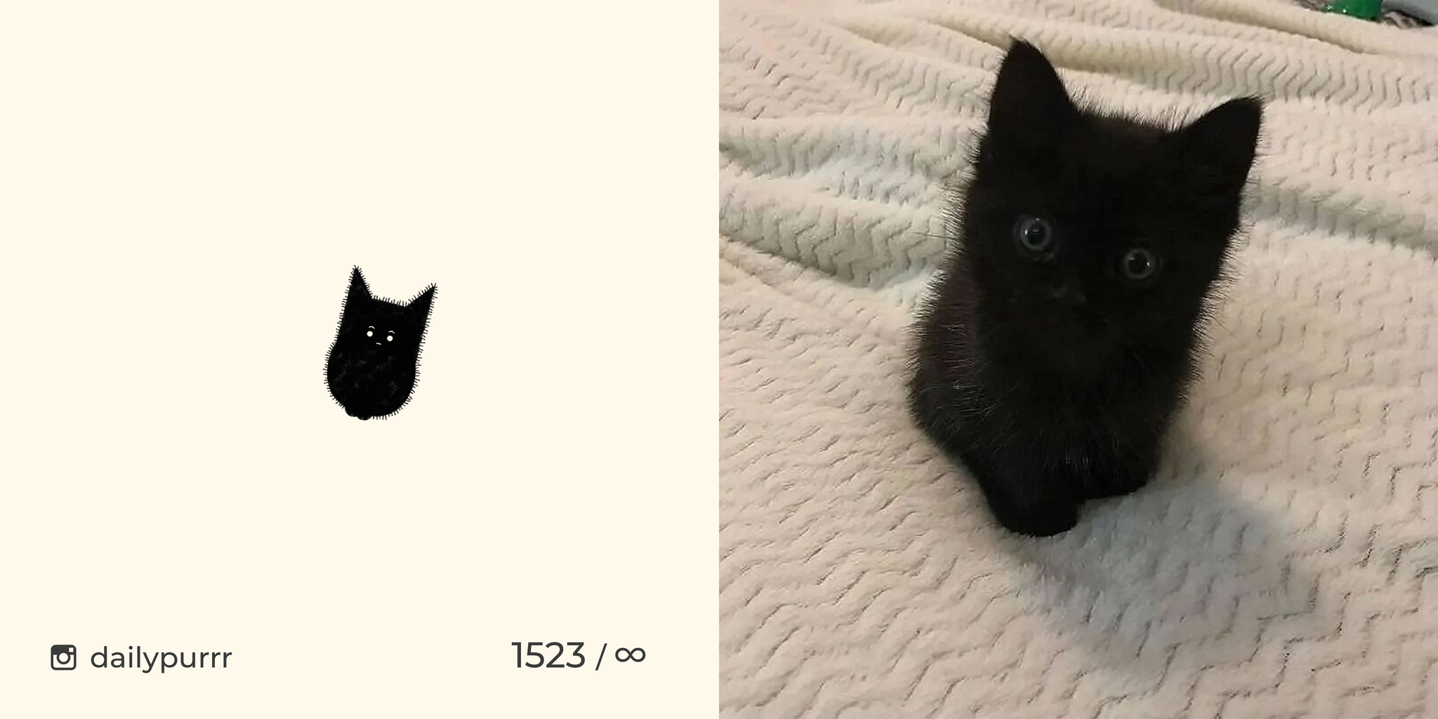 When scientists took the first image of a black hole at the center of our universe - My, cat, Drawing, Animals, Dailypurrr, Kittens, Black cat