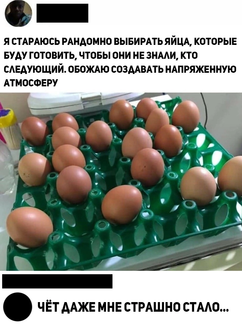 Intrigue - Picture with text, Humor, Repeat, Eggs