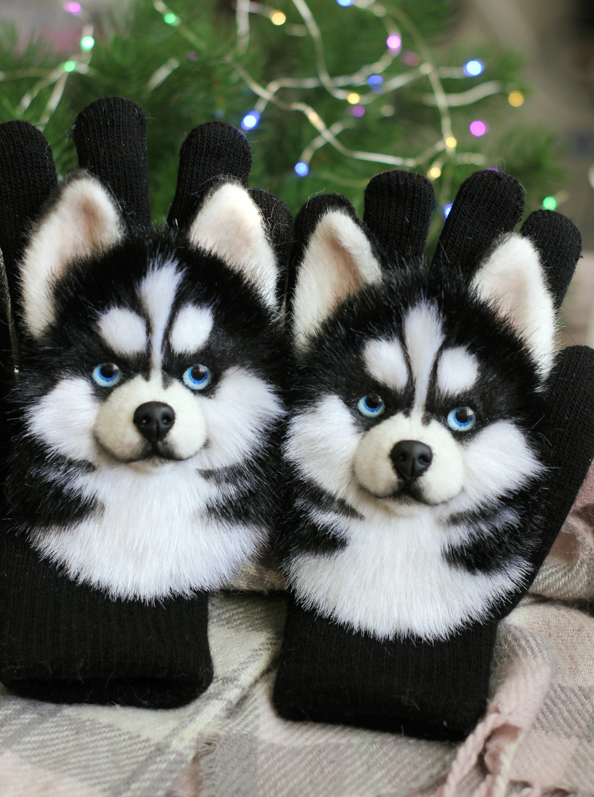 Husky gloves - My, Handmade, Needlework without process, Animal husbandry, Mittens, Husky