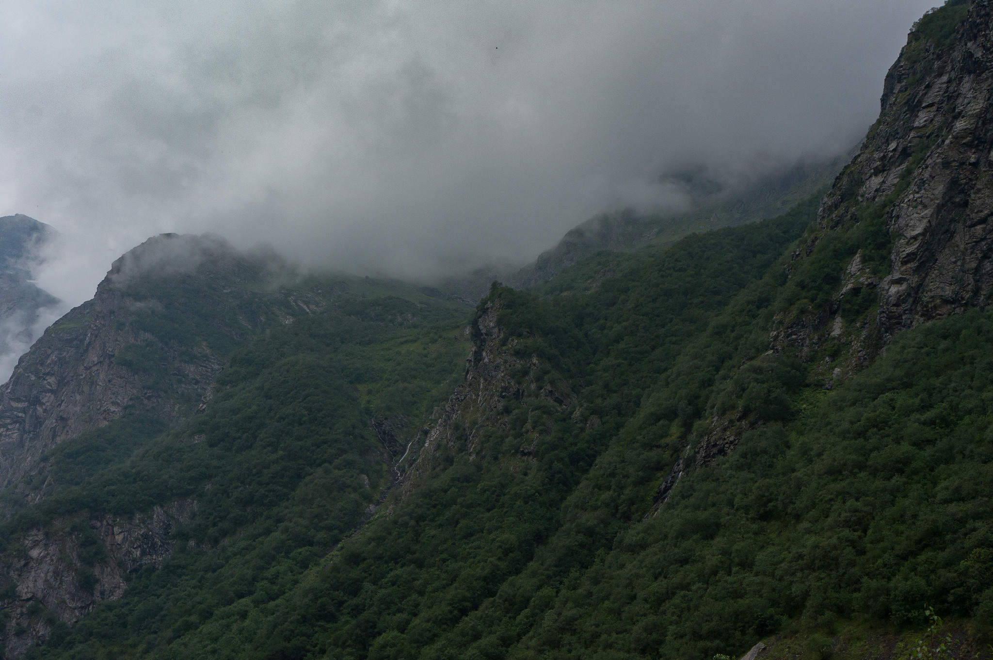 Caucasus. - My, Caucasus, North Ossetia Alania, Dargavs, Horseback riding, Waterfall, Rain, Longpost