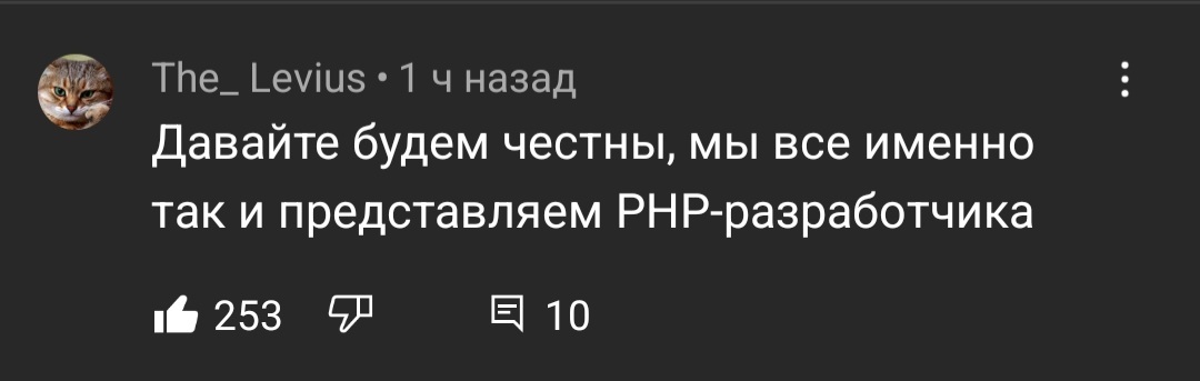 PHP developer - IT humor, PHP, Transgender, Programmer