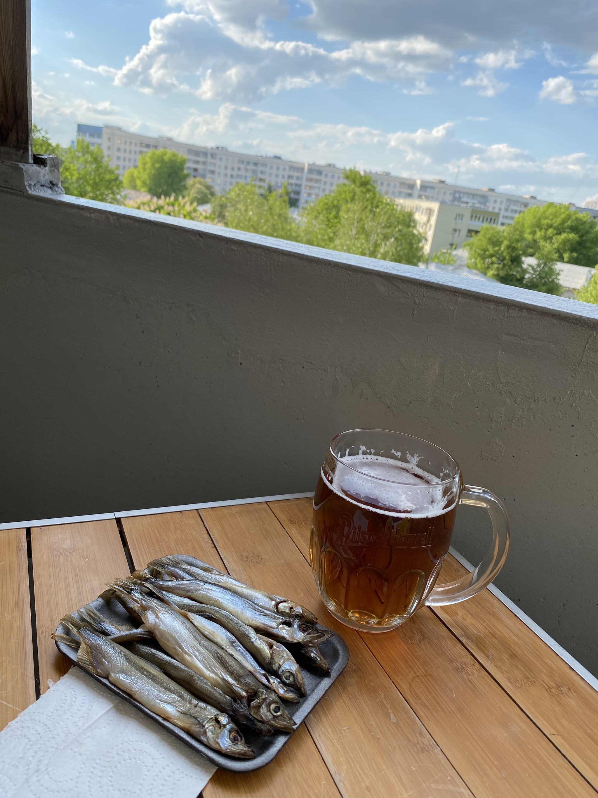 And let's drink a beer today and imagine that it's Friday! - My, Beer, View from the balcony, Alcohol