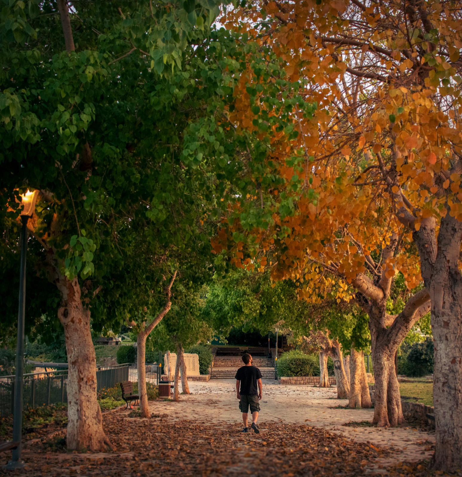 Between summer and autumn... - My, The photo, Canon, Landscape, I want criticism