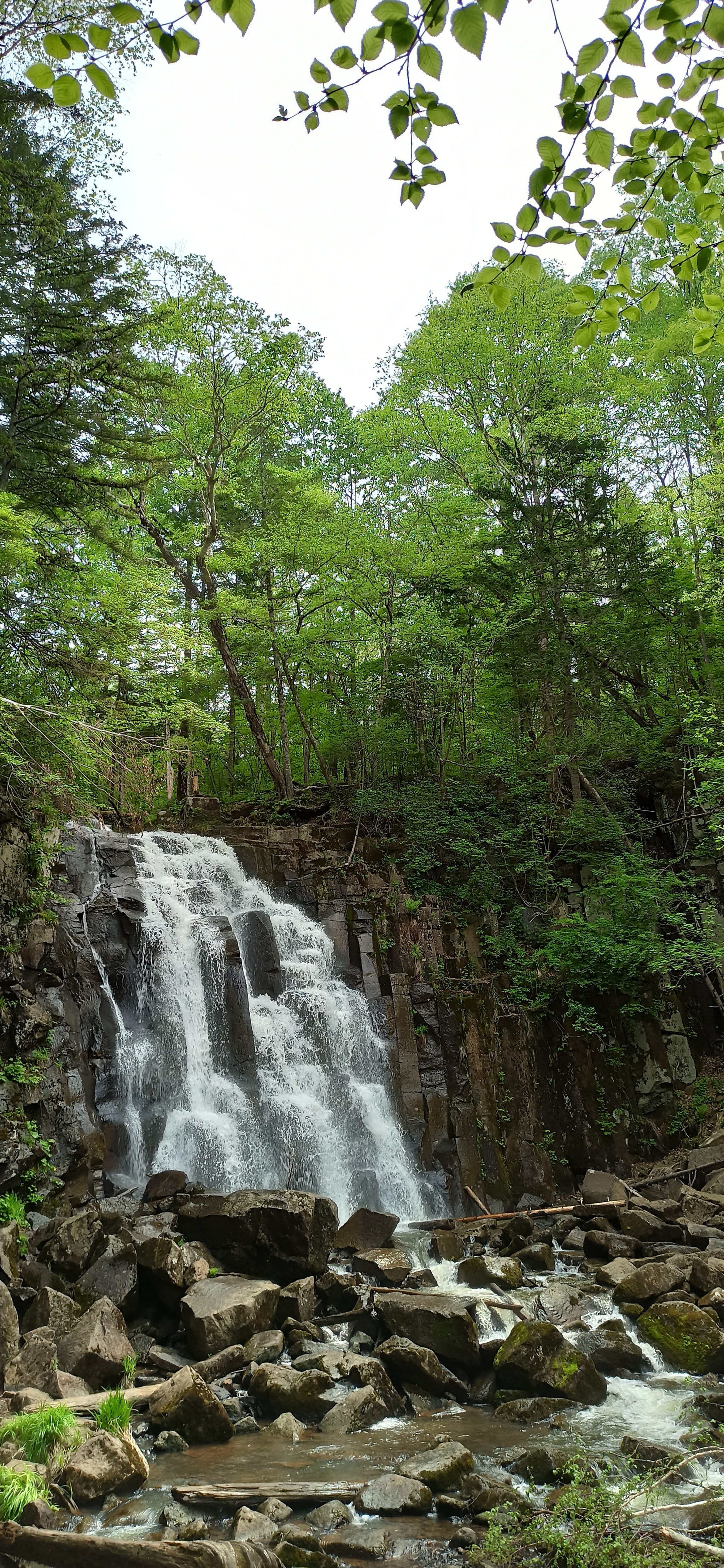 Primorsky Krai, waterfalls Unexpected and Tigrovy - My, Primorsky Krai, Longpost, Travels, Mobile photography, Waterfall, Nature, Video, Vertical video