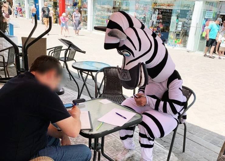 Unique photo from the wild: Zebra signing an administrative protocol - Service imposition, Obsession, Resorts of the Krasnodar Territory, Sochi, Resorts in Russia, Puppets, , zebra