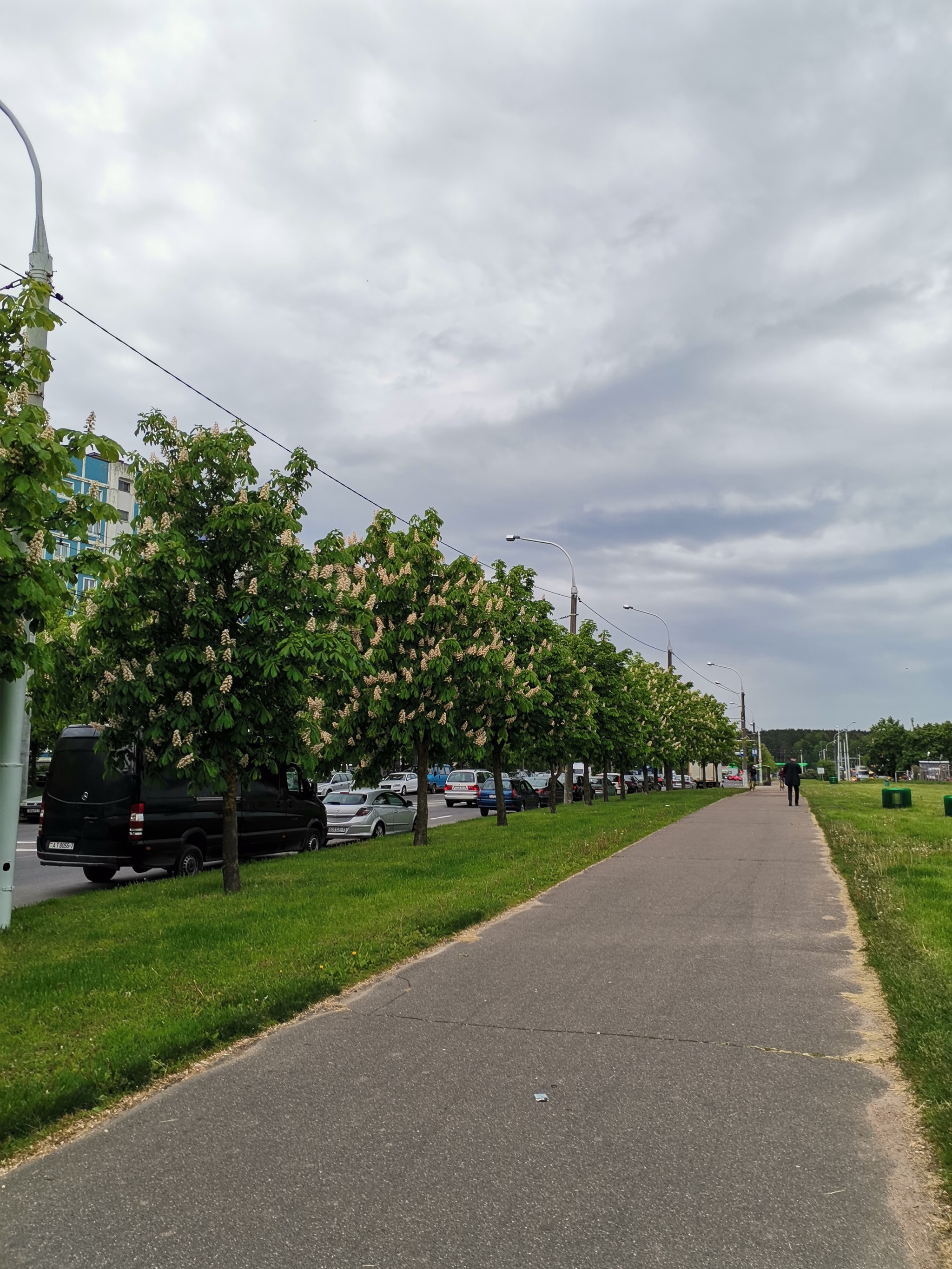 Summer evening - My, Picture with text, Summer, Chestnut, Mobile photography, Minsk, Republic of Belarus