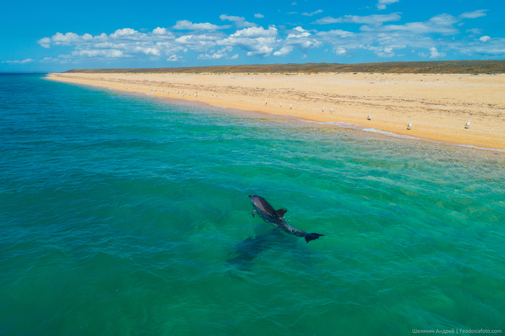 If there is Delfin, then there is also DelShved? - My, Landscape, Crimea, Black Sea, Dolphin, Beach, Longpost