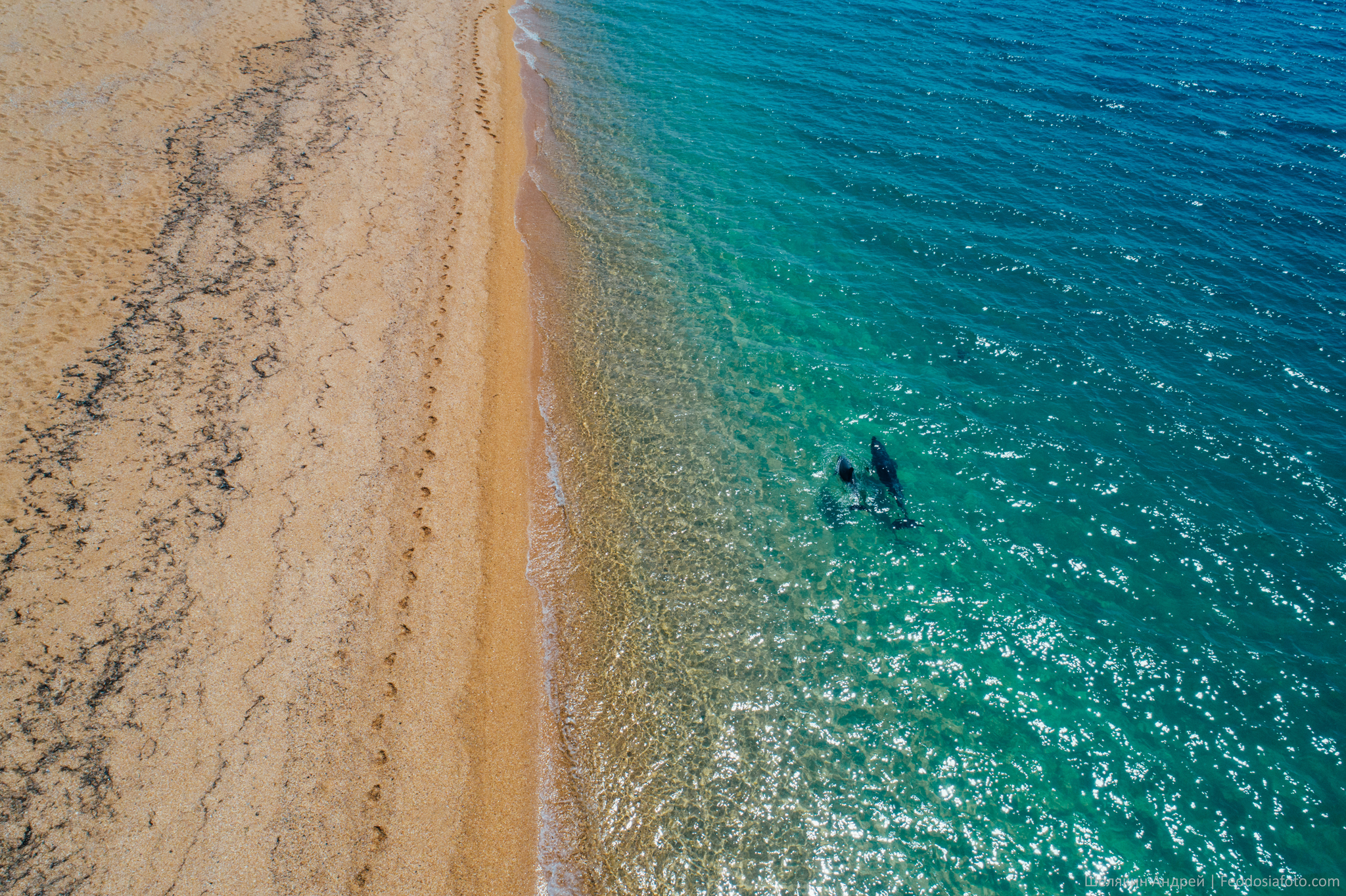 If there is Delfin, then there is also DelShved? - My, Landscape, Crimea, Black Sea, Dolphin, Beach, Longpost