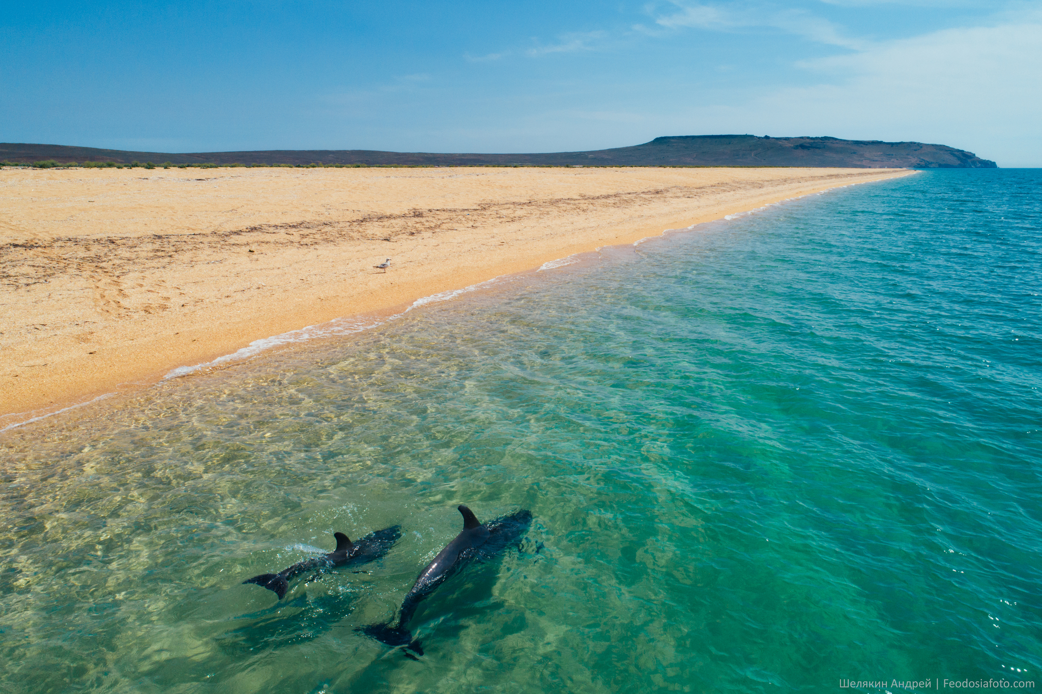 If there is Delfin, then there is also DelShved? - My, Landscape, Crimea, Black Sea, Dolphin, Beach, Longpost