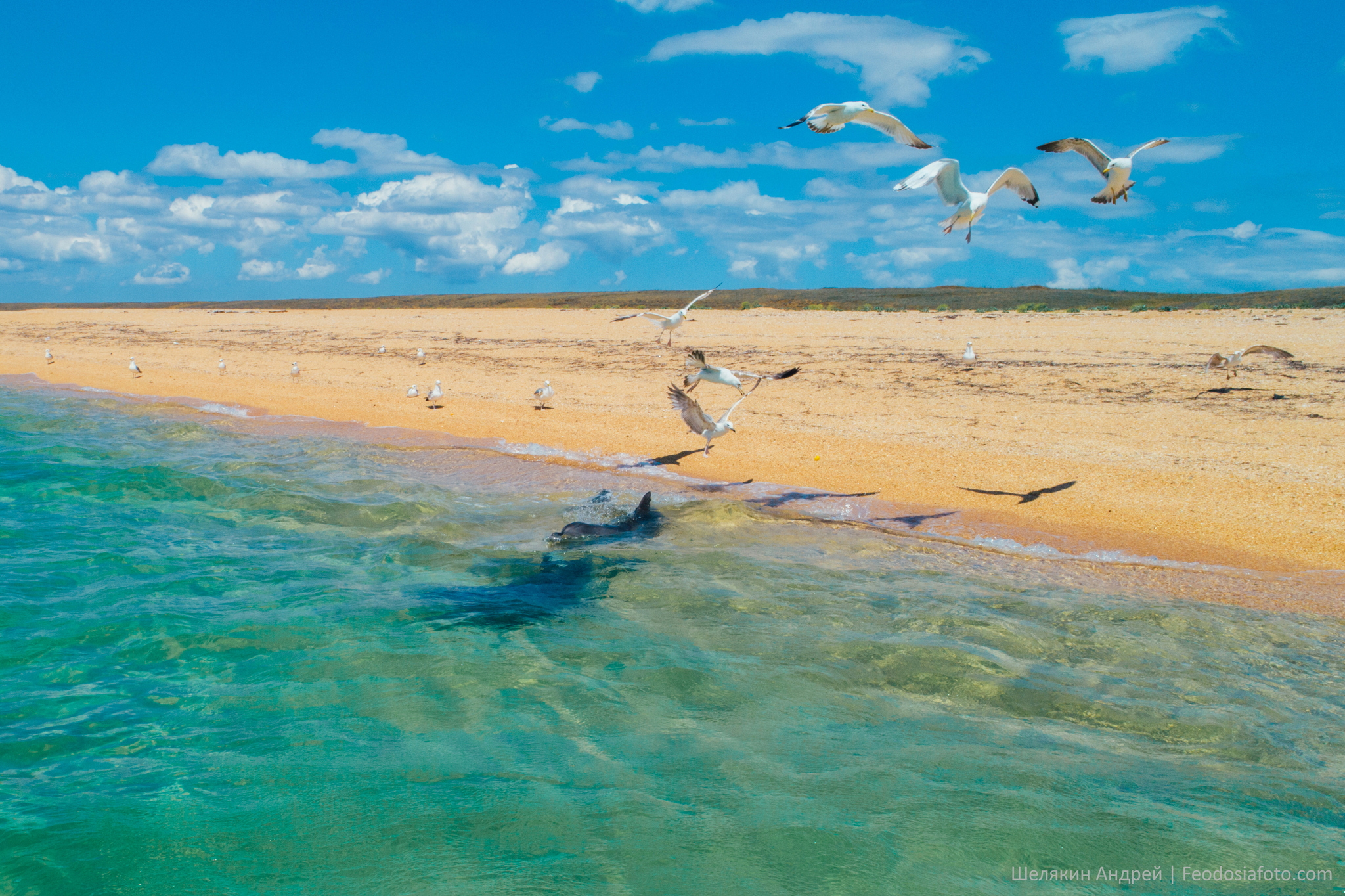 If there is Delfin, then there is also DelShved? - My, Landscape, Crimea, Black Sea, Dolphin, Beach, Longpost