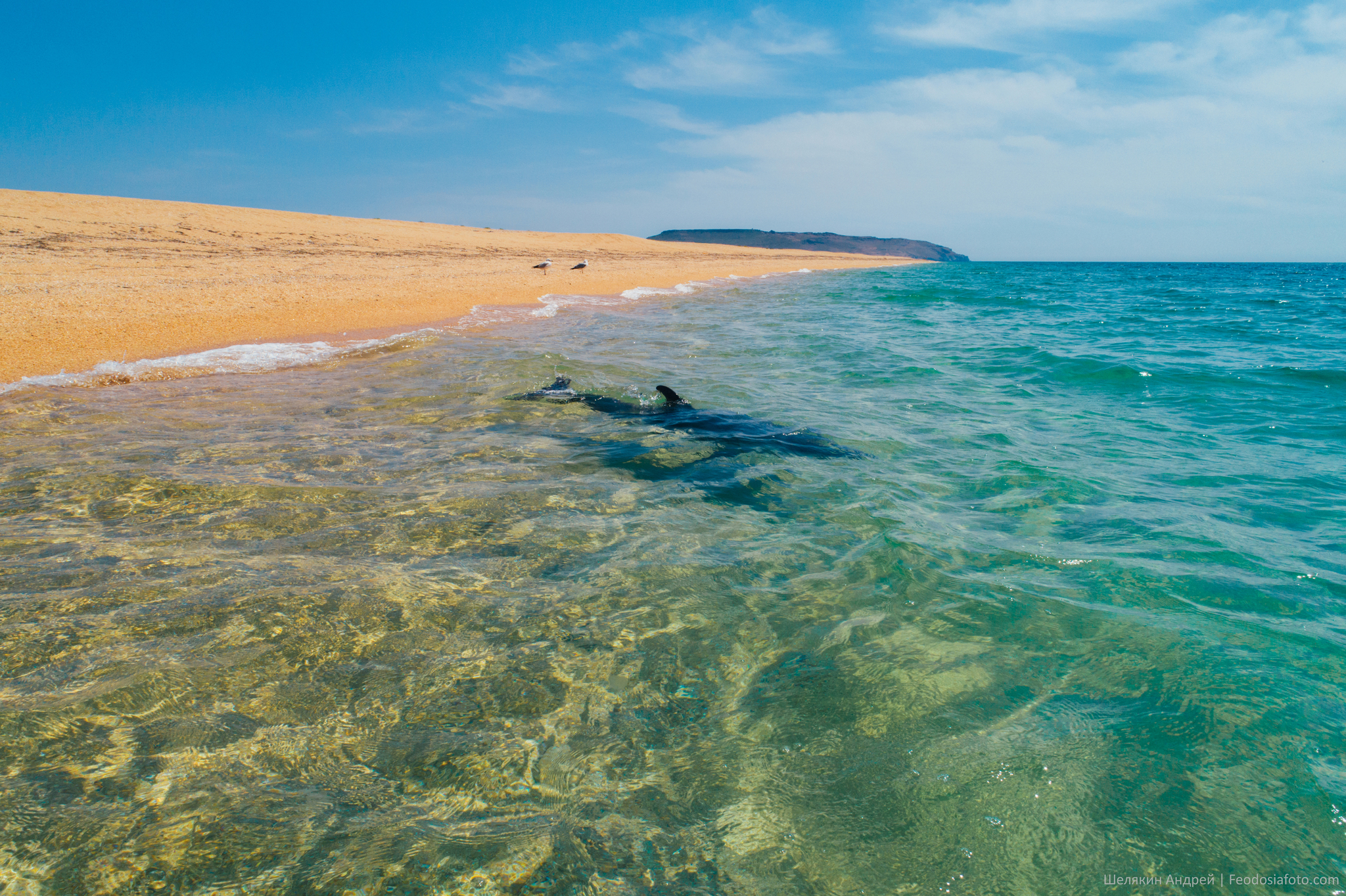 If there is Delfin, then there is also DelShved? - My, Landscape, Crimea, Black Sea, Dolphin, Beach, Longpost