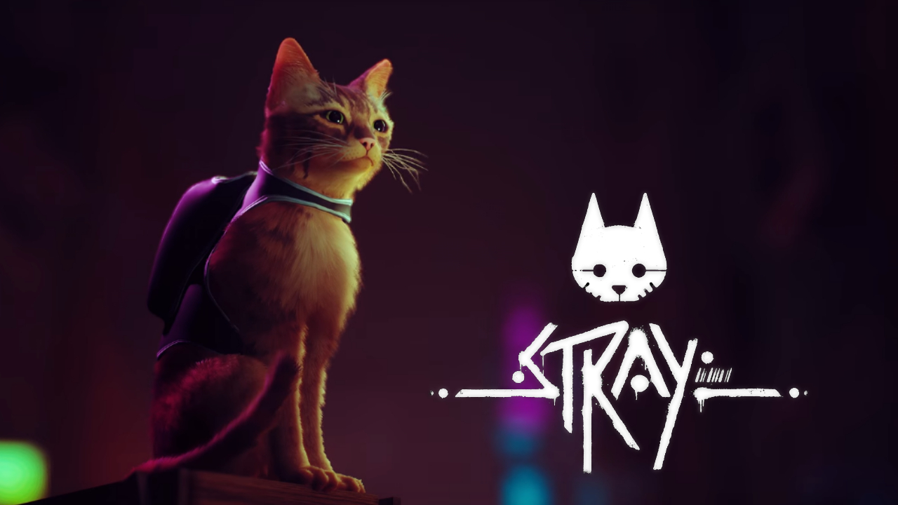 Stray: a new adventure about a ginger cat already on July 19th! - My, Video game, Games, Playstation, Video, Youtube, Longpost, Stray