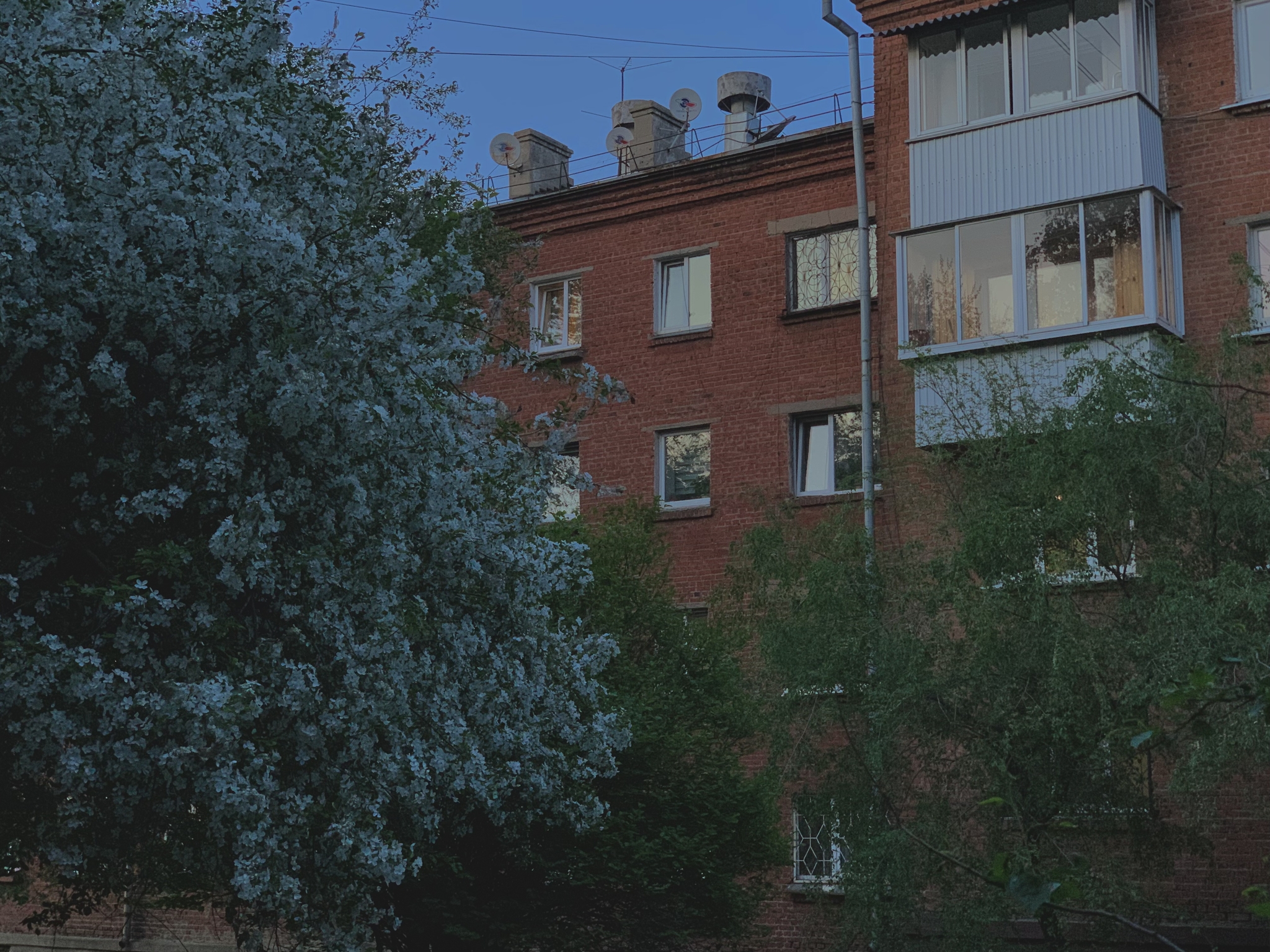 Evening walk in Irkutsk - My, Irkutsk, The photo, Longpost, Evening, Urban environment