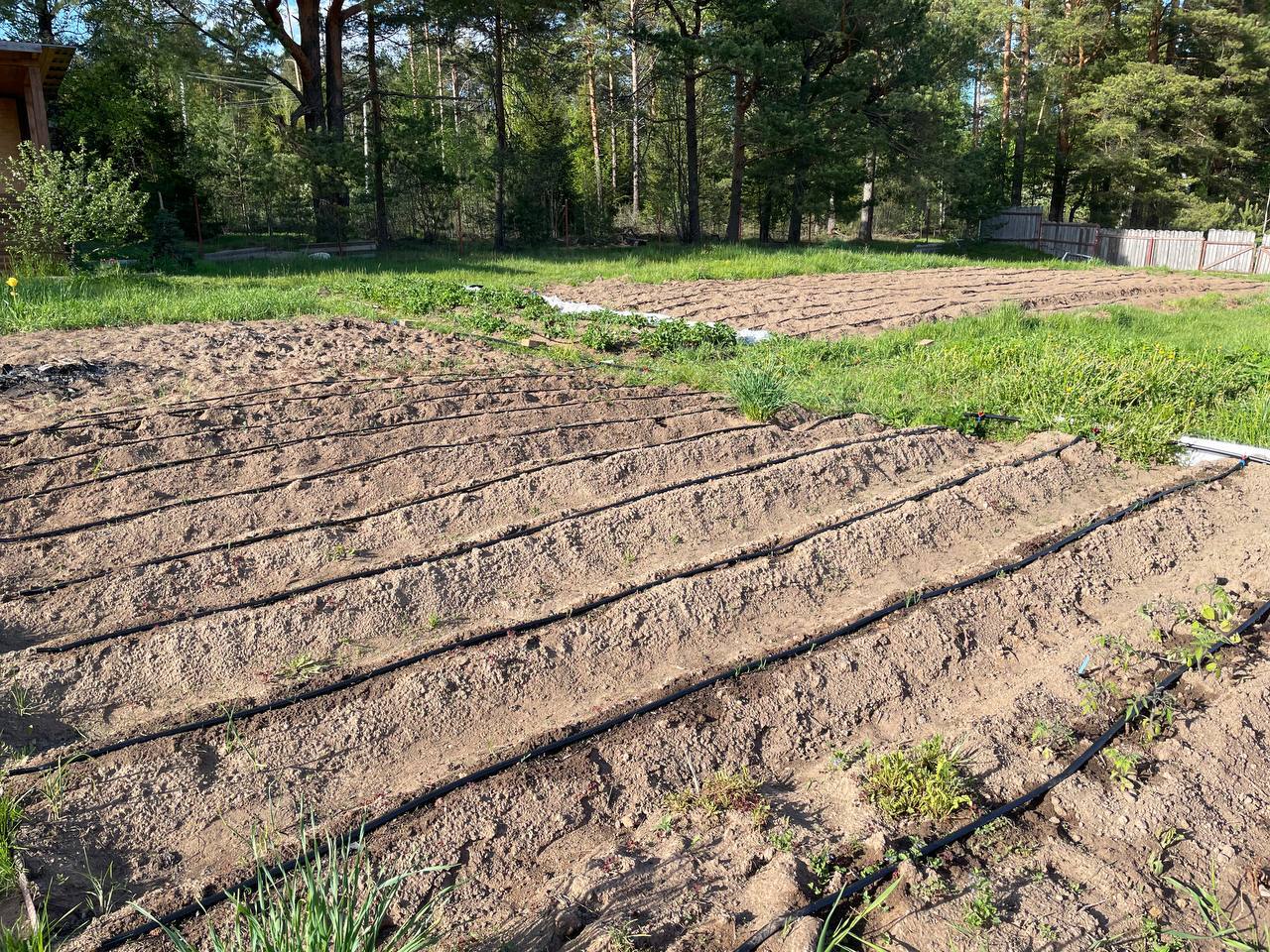 I made drip irrigation in the village of my mother-in-law - My, Dacha, Drip irrigation, Squirearchy, Irrigation, Village, Instructions, From Doing Nefig, Presents, Garden, Garden, Plants, Video, Video VK, Longpost, Homemade, Rukozhop