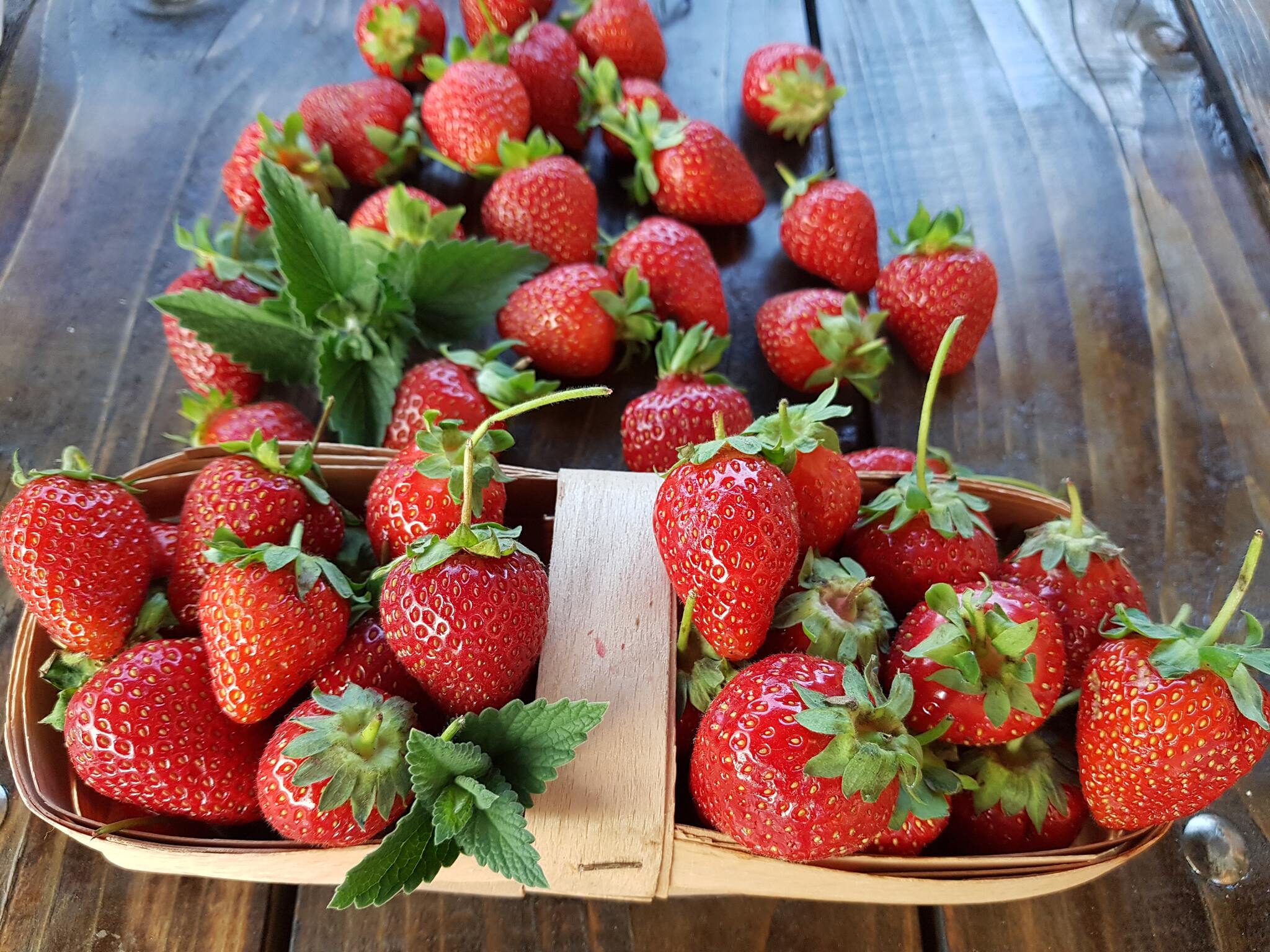 How much strawberries? - My, Food, Strawberry (plant), Dessert