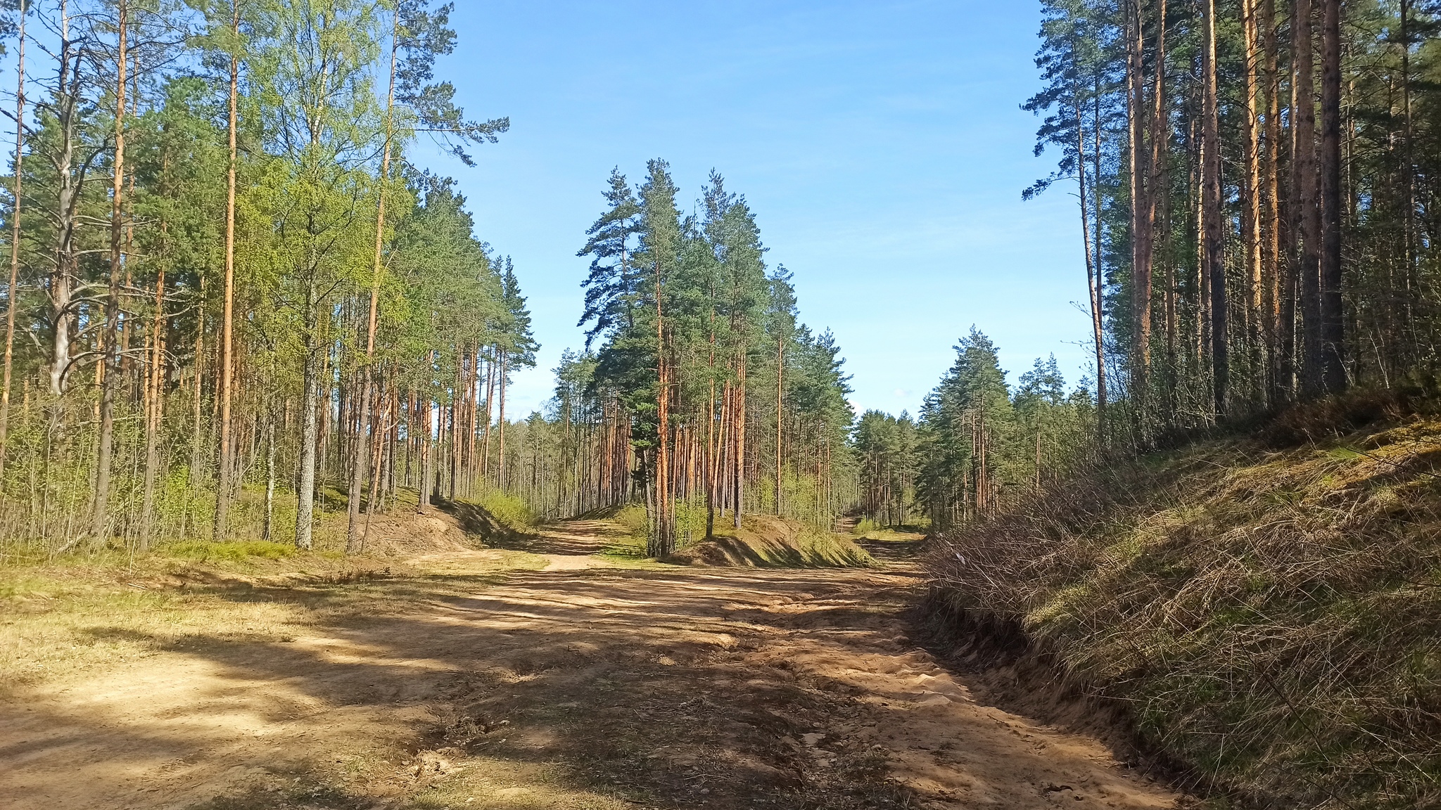 Walking story #4: Health trail around Lake Hepojarvi - My, Tourism, Hiking, Tracking, Nature, Leningrad region, Pa, Toksovo, Lake, Jurassic Park, Longpost