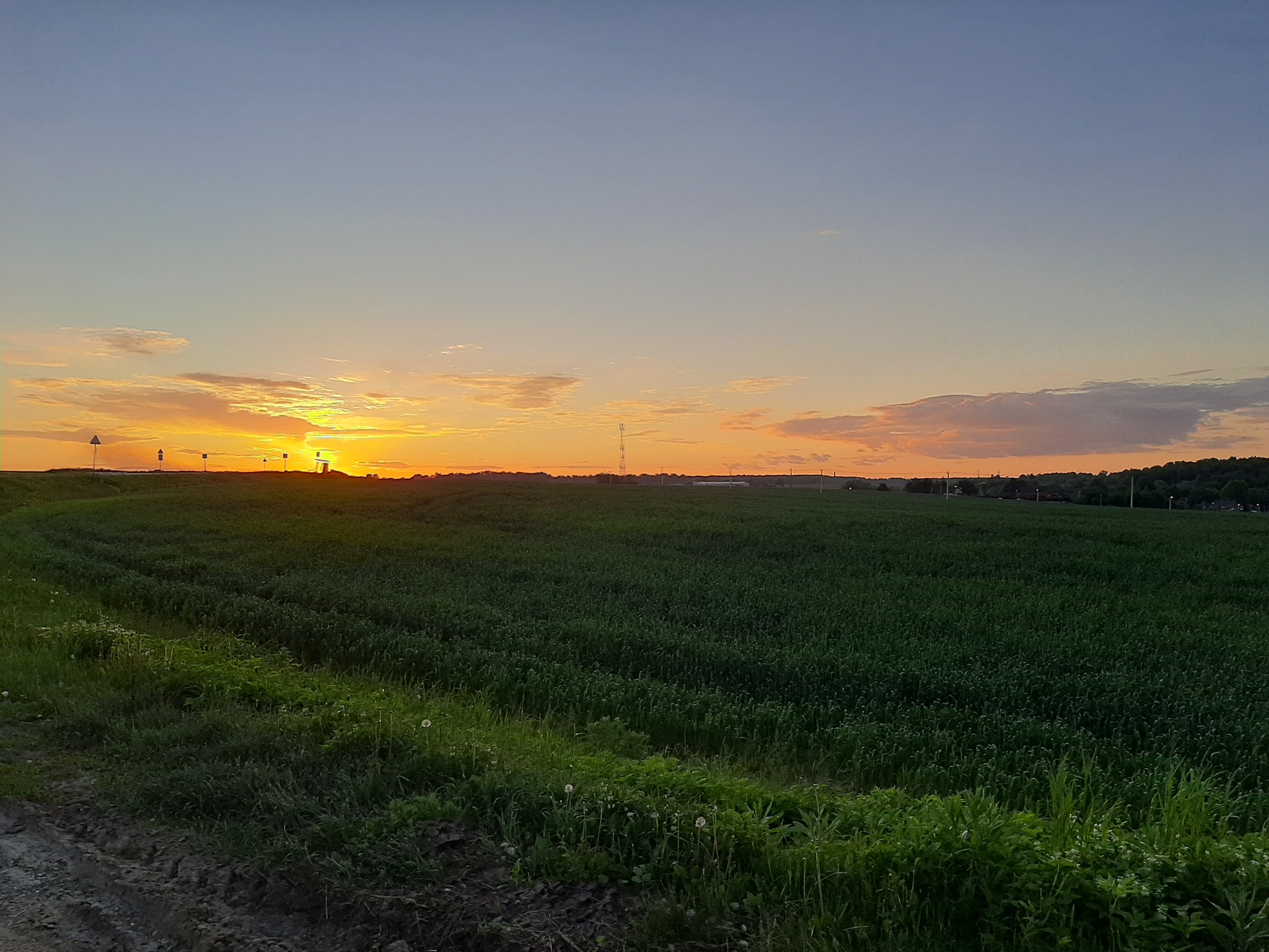 Sunday sunset in Barybino - Russia, Moscow region, Barybino, Подмосковье, Nature, Beginning photographer, Sunset, Road, Field